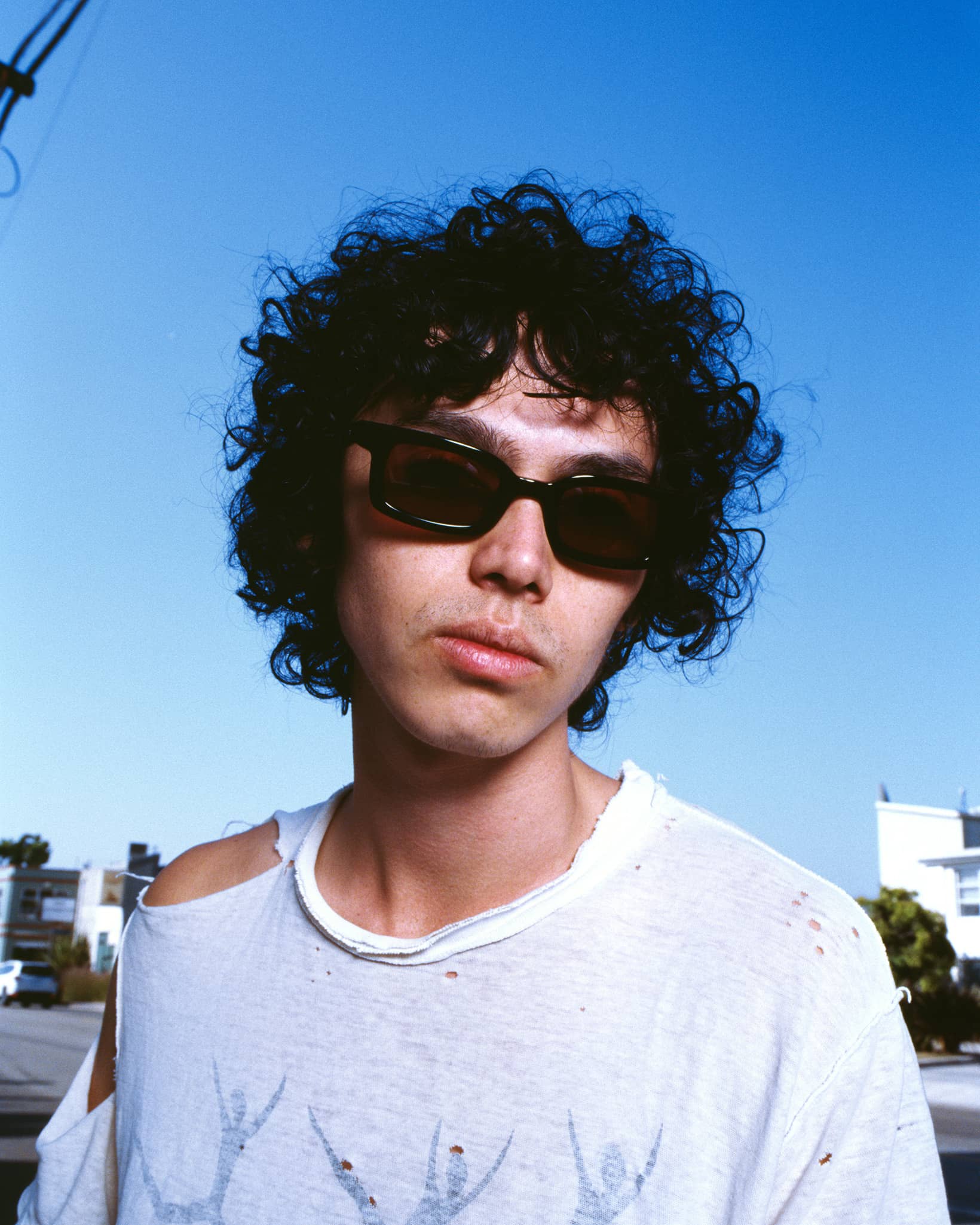 The Head Rattle - Licorice Bio