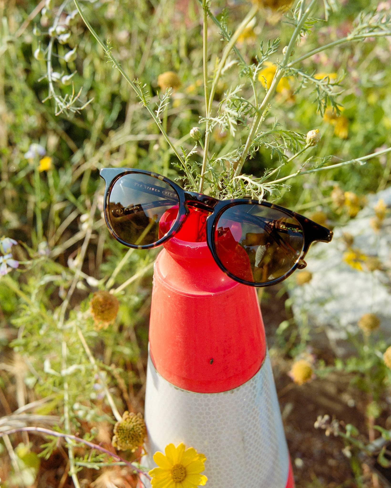 The Stereo Cult - Desert Tortoise Bio