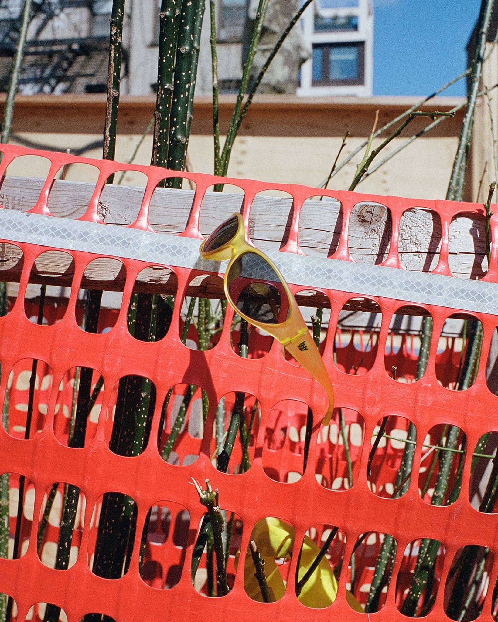 The Warp Zone - iggy Yellow