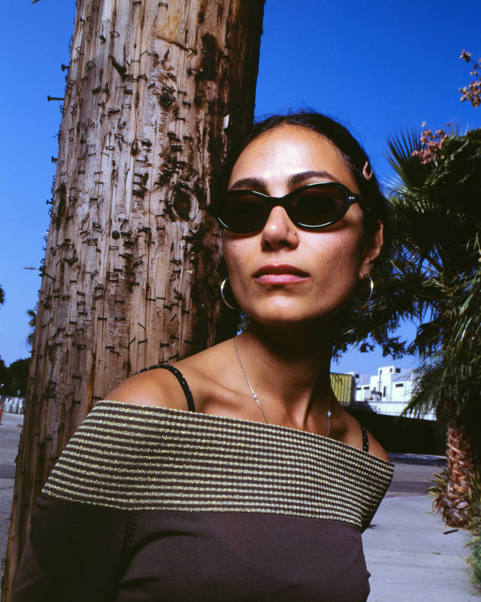 The Marquee Rox - Midnight Forest Bio Polarized