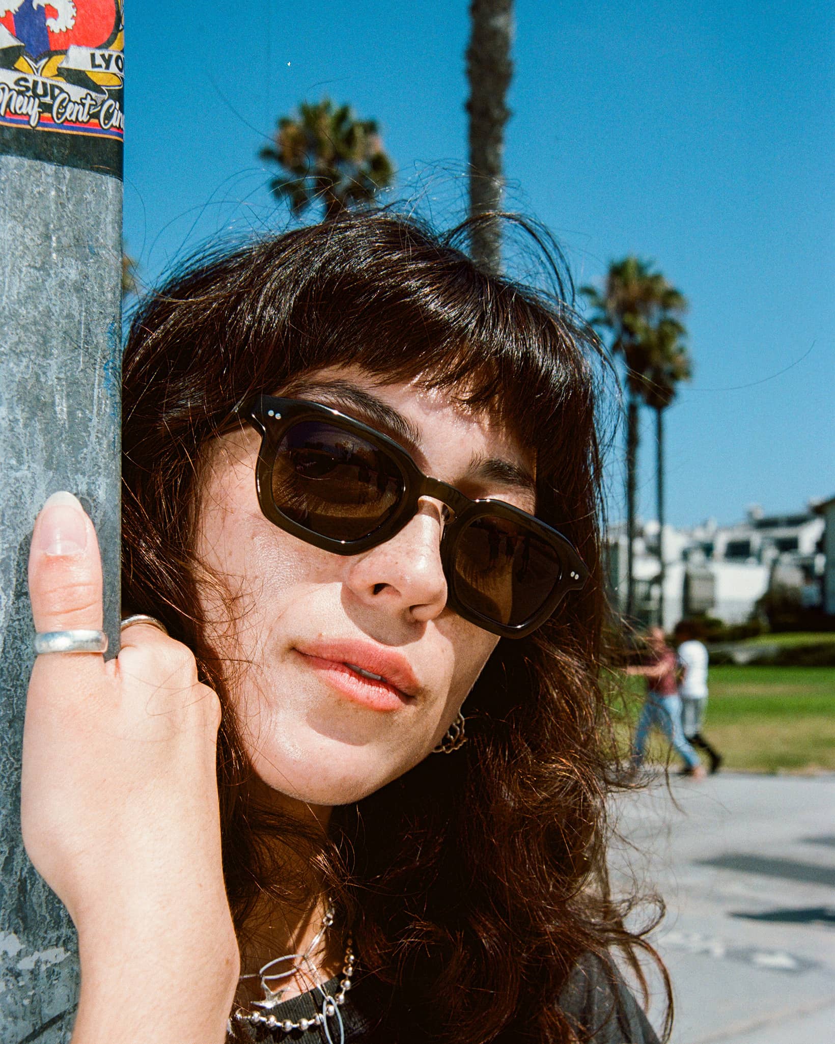 The No Wave - Seaweed Bio Polarized