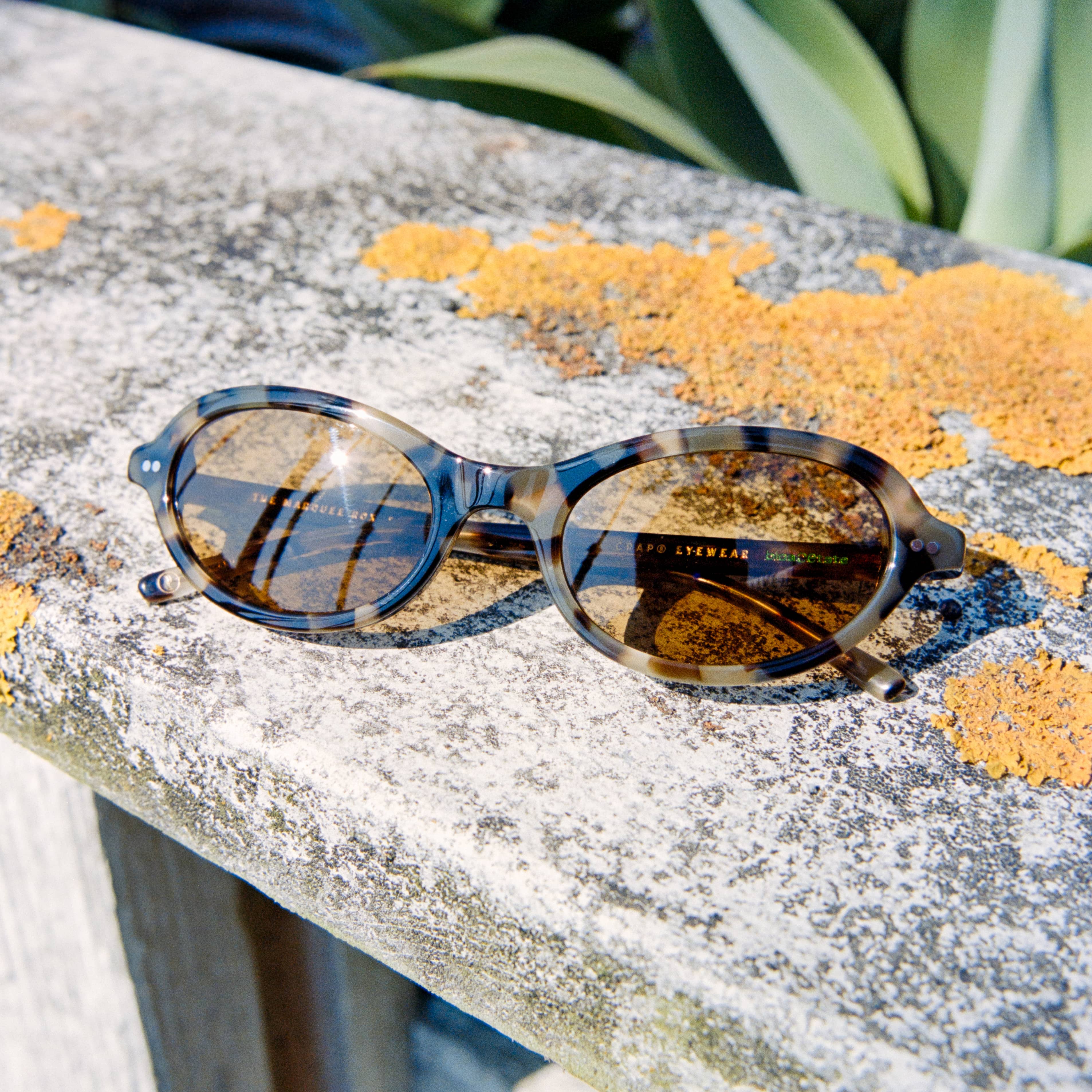 The Marquee Rox - Jaguar Tortoise Bio Polarized