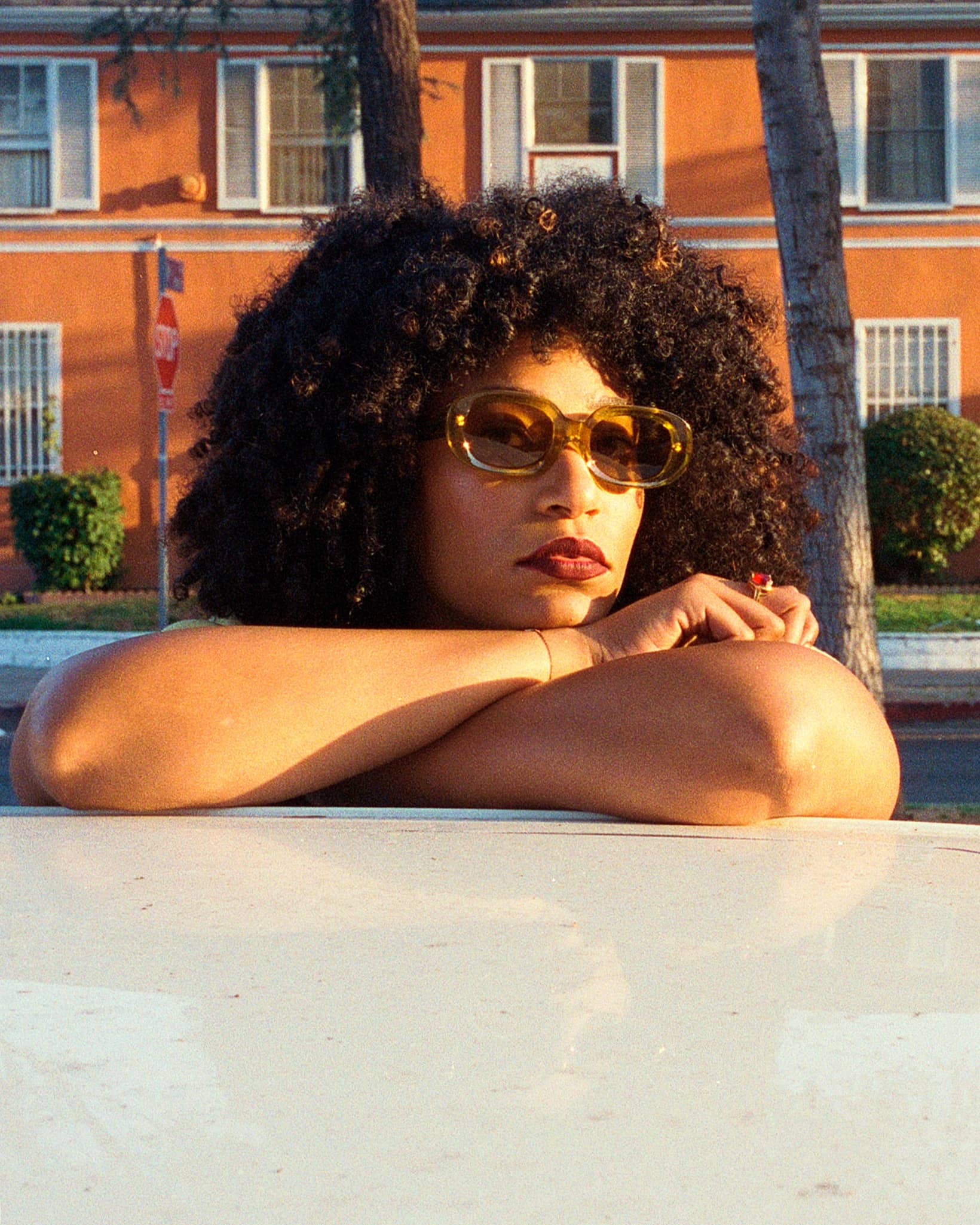 The Bikini Vision - Crystal Kelp Bio