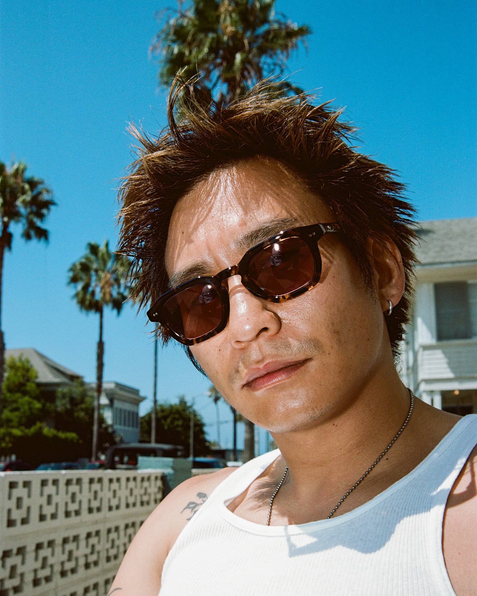 The No Wave - Desert Tortoise Bio Polarized