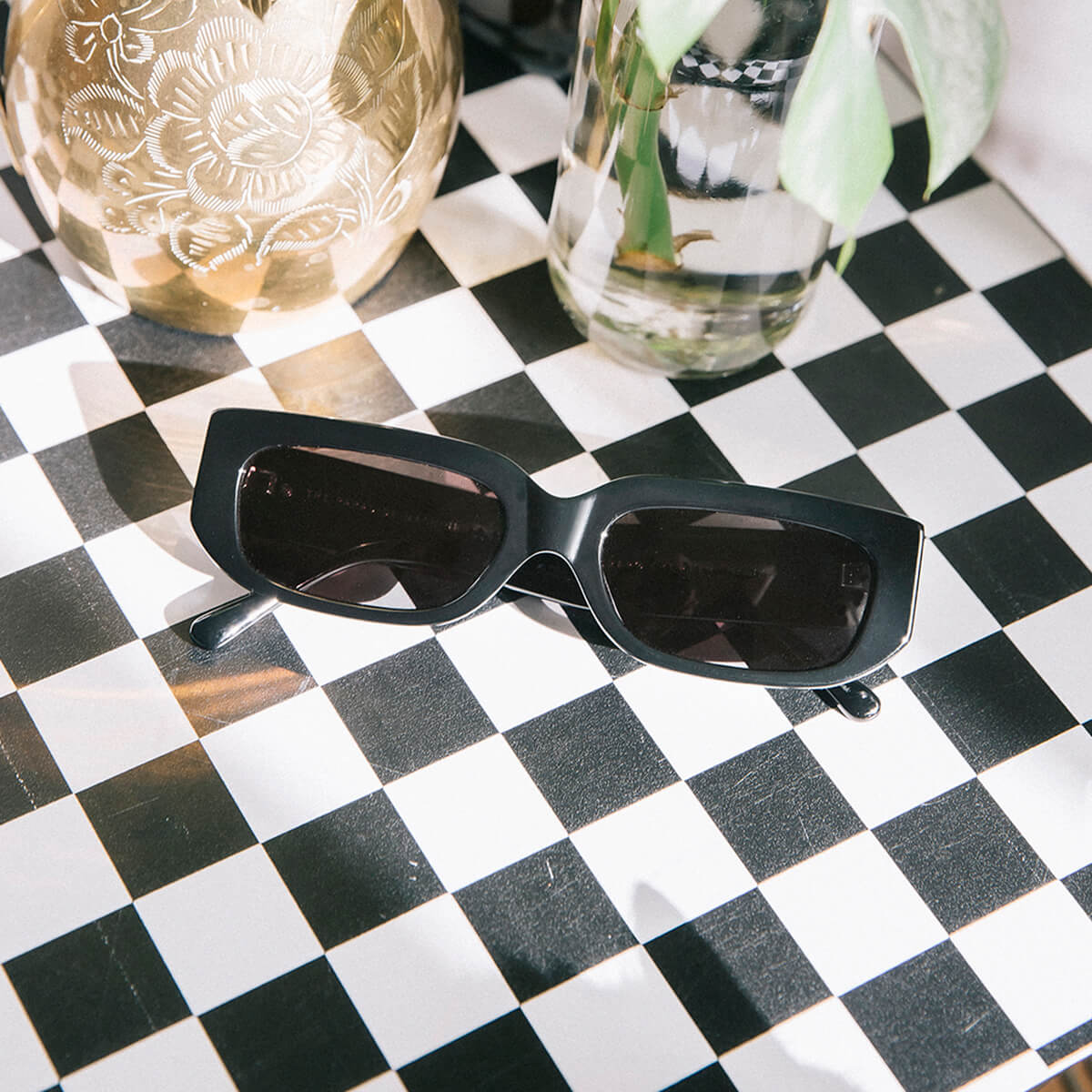 The Paradise Machine - Black Bio