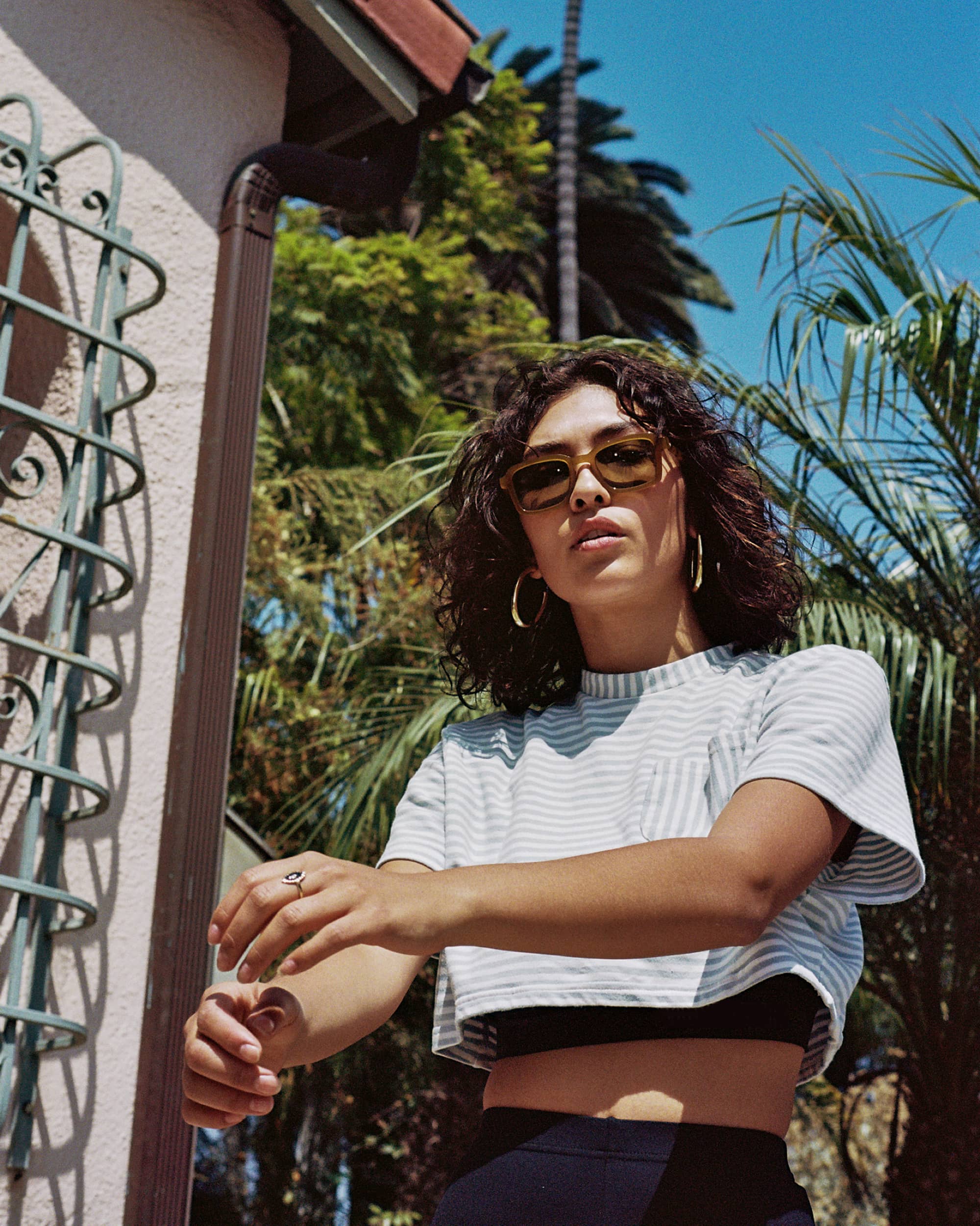 The Heavy Tropix - Agave Bio Polarized