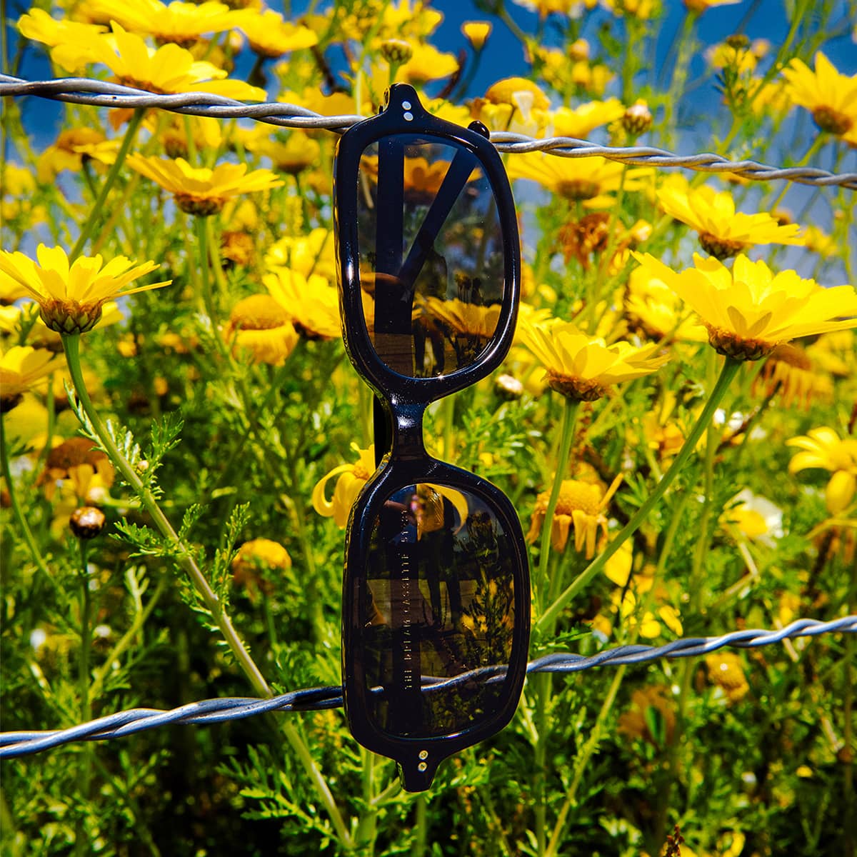 The Dream Cassette - Black Bio Polarized