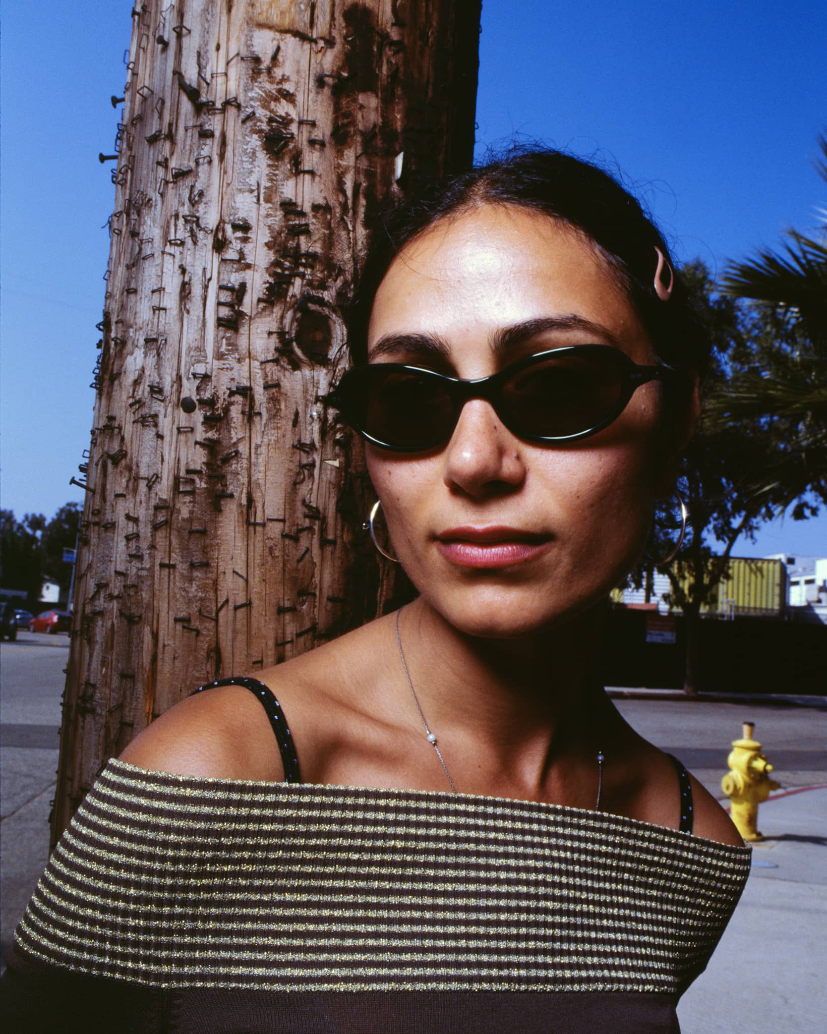 The Marquee Rox - Midnight Forest Bio Polarized