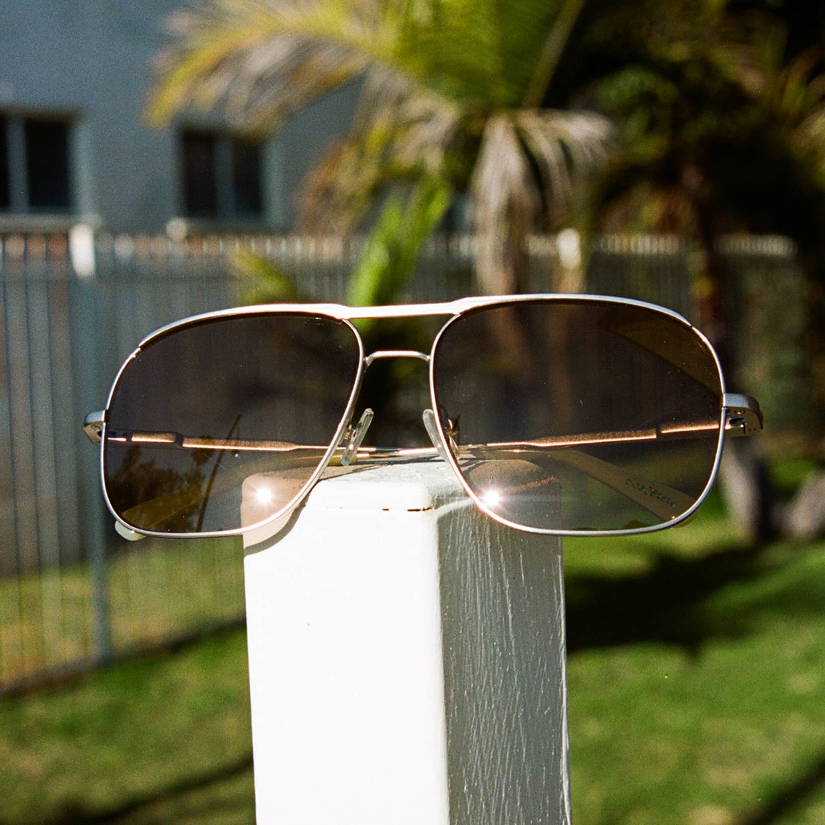 The Glass Bubble - Shroom