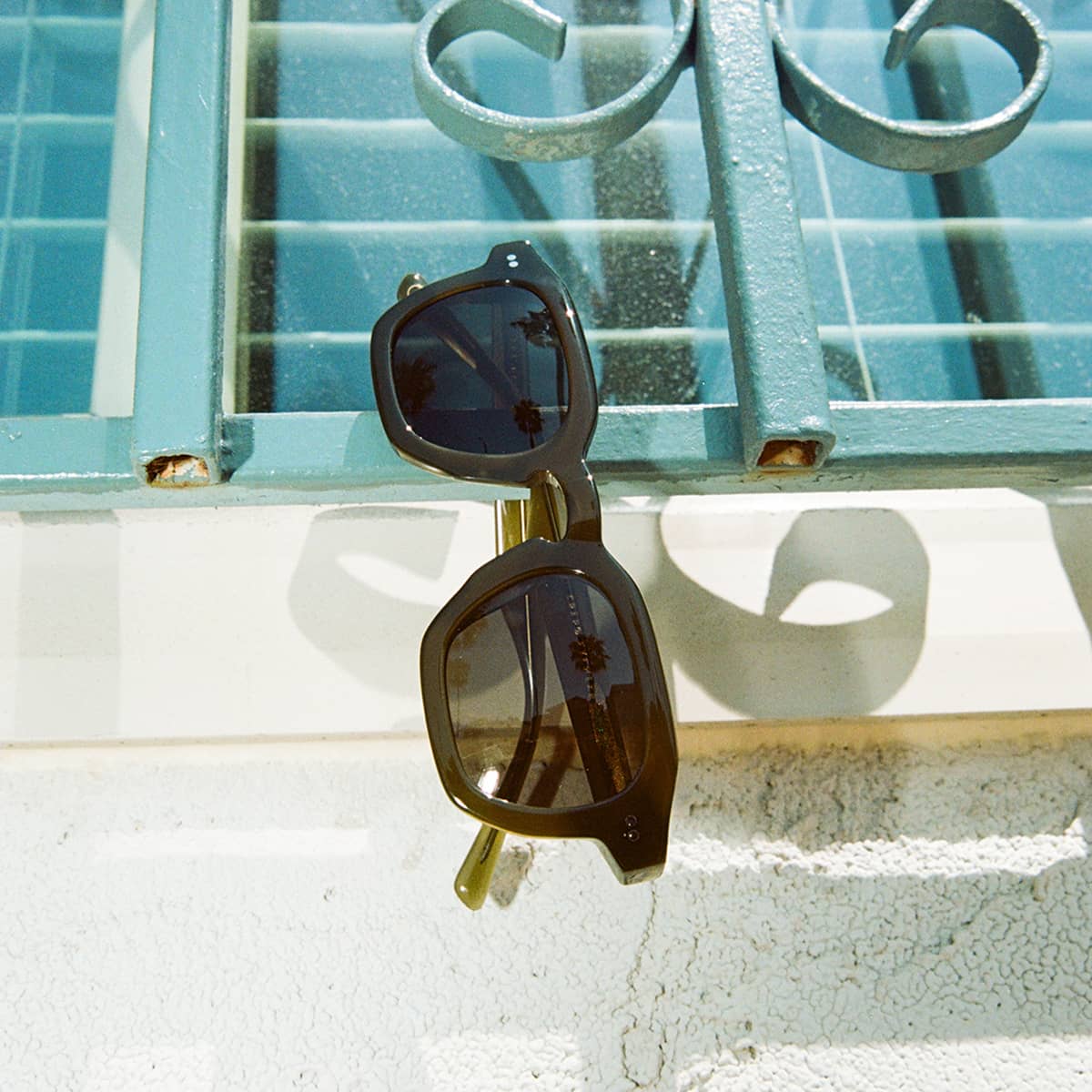 The No Wave - Seaweed Bio Polarized