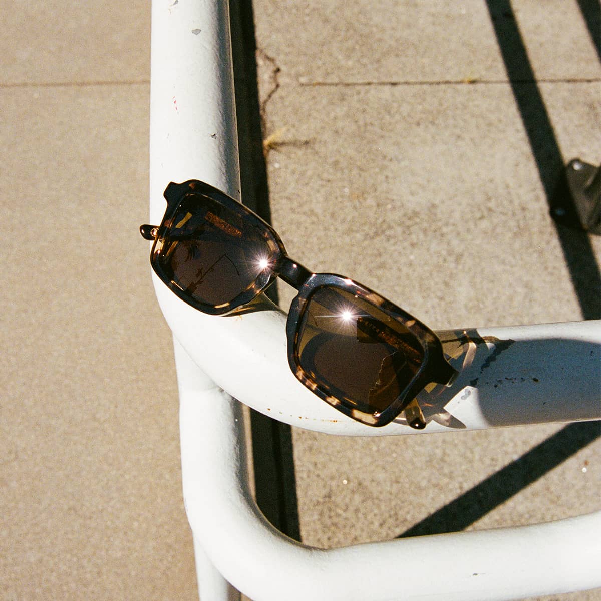 The Heavy Tropix - Desert Tortoise Bio Polarized