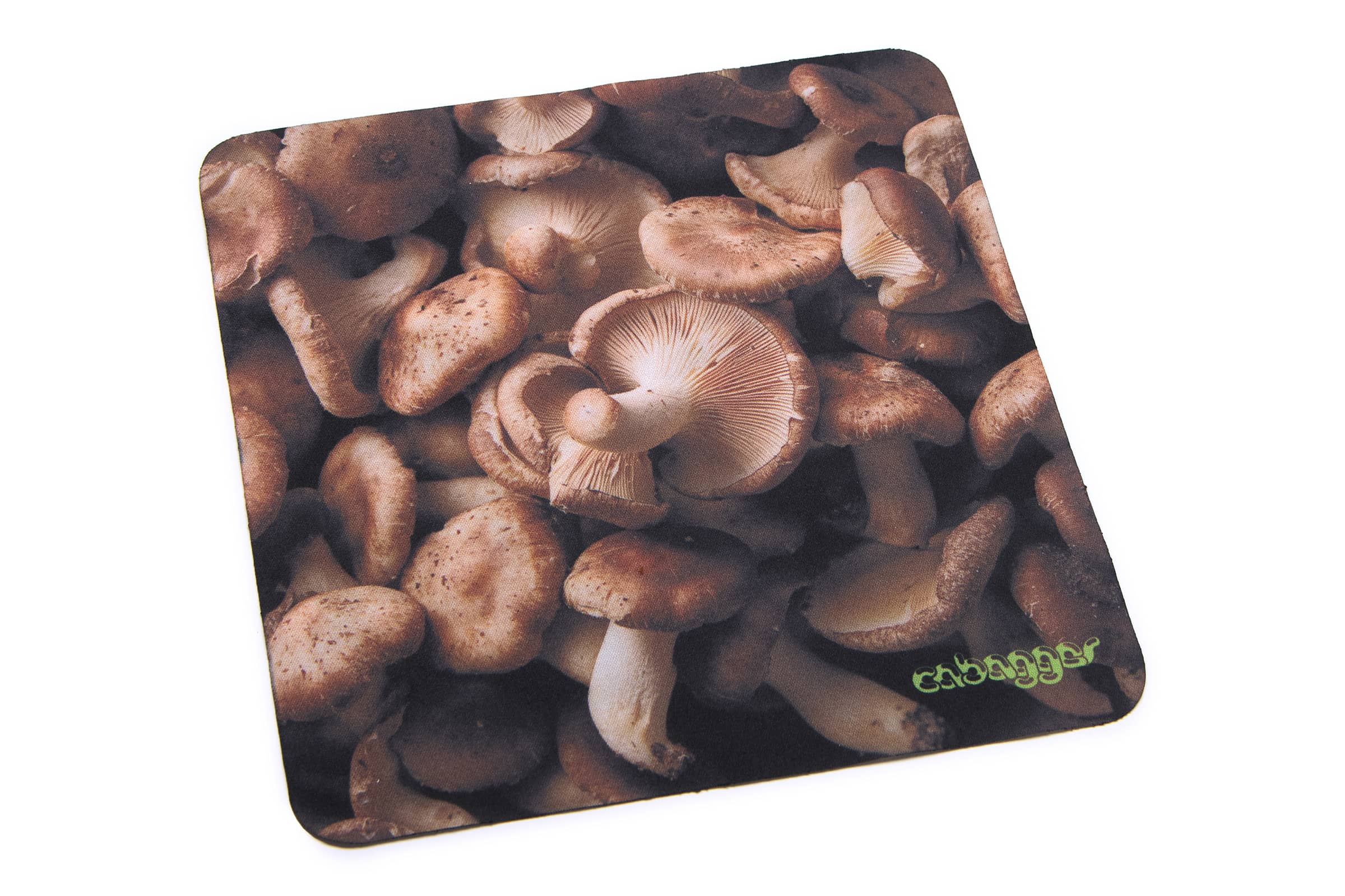 The Funk Punk - Cabagges Shiitake Bio