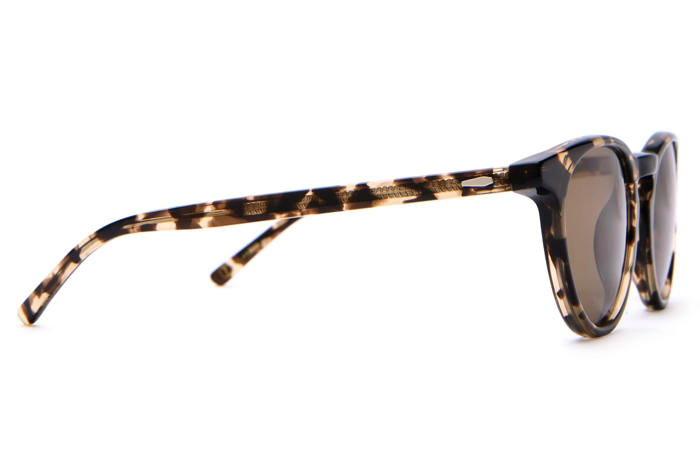 The Stereo Cult - Desert Tortoise Bio