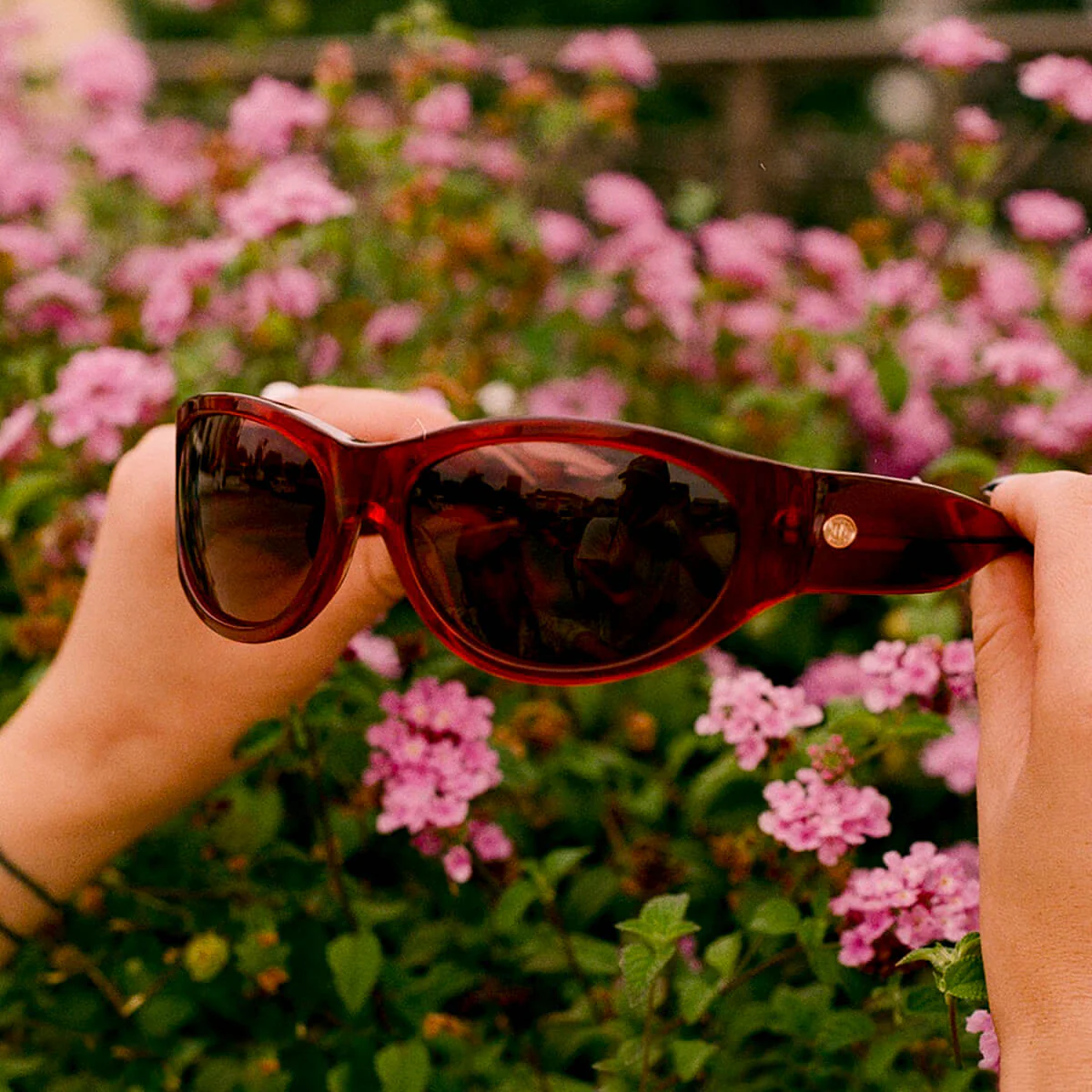 The Funk Daddy - Crystal Cherry Bio