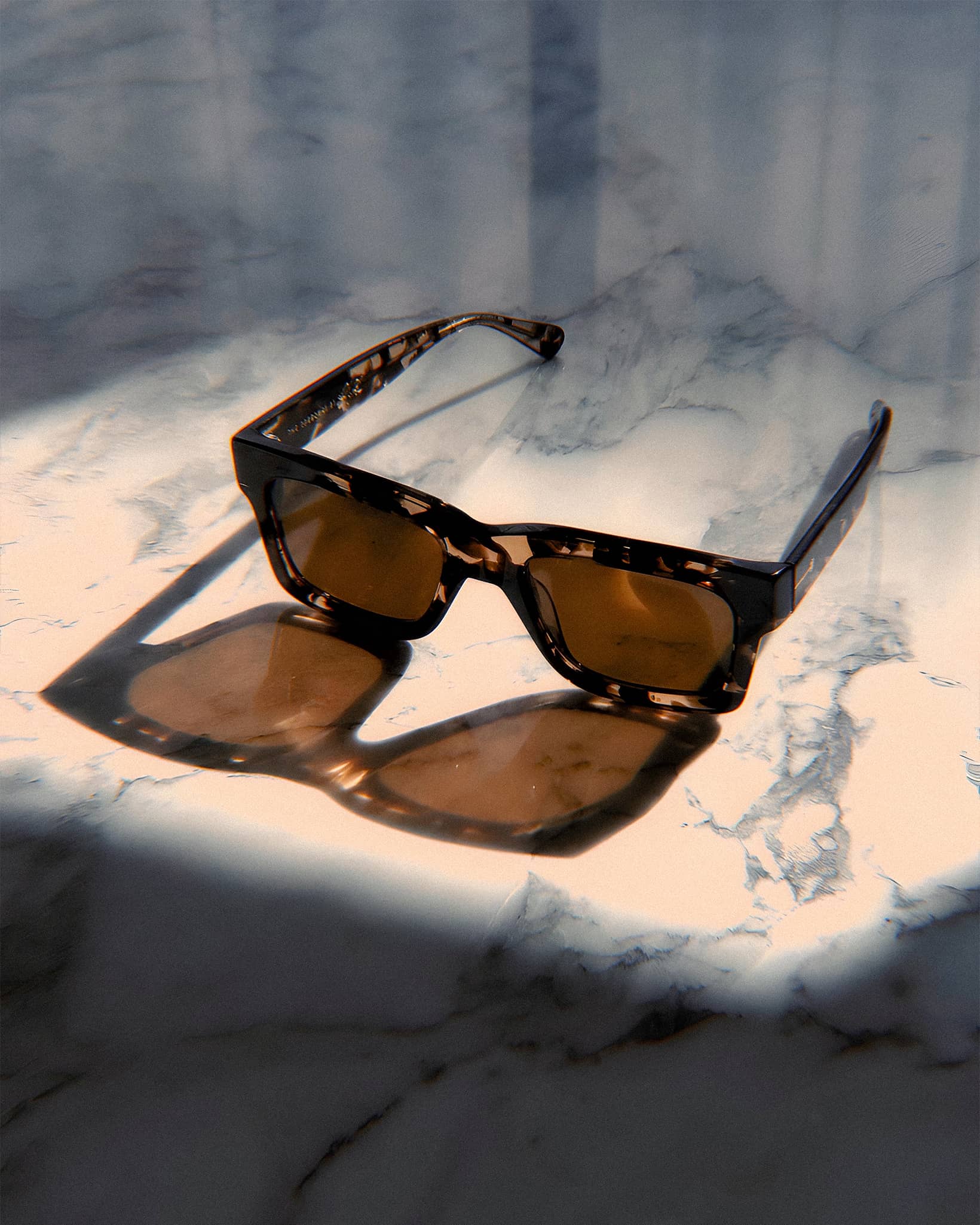 The Speedway - Desert Tortoise Bio Polarized