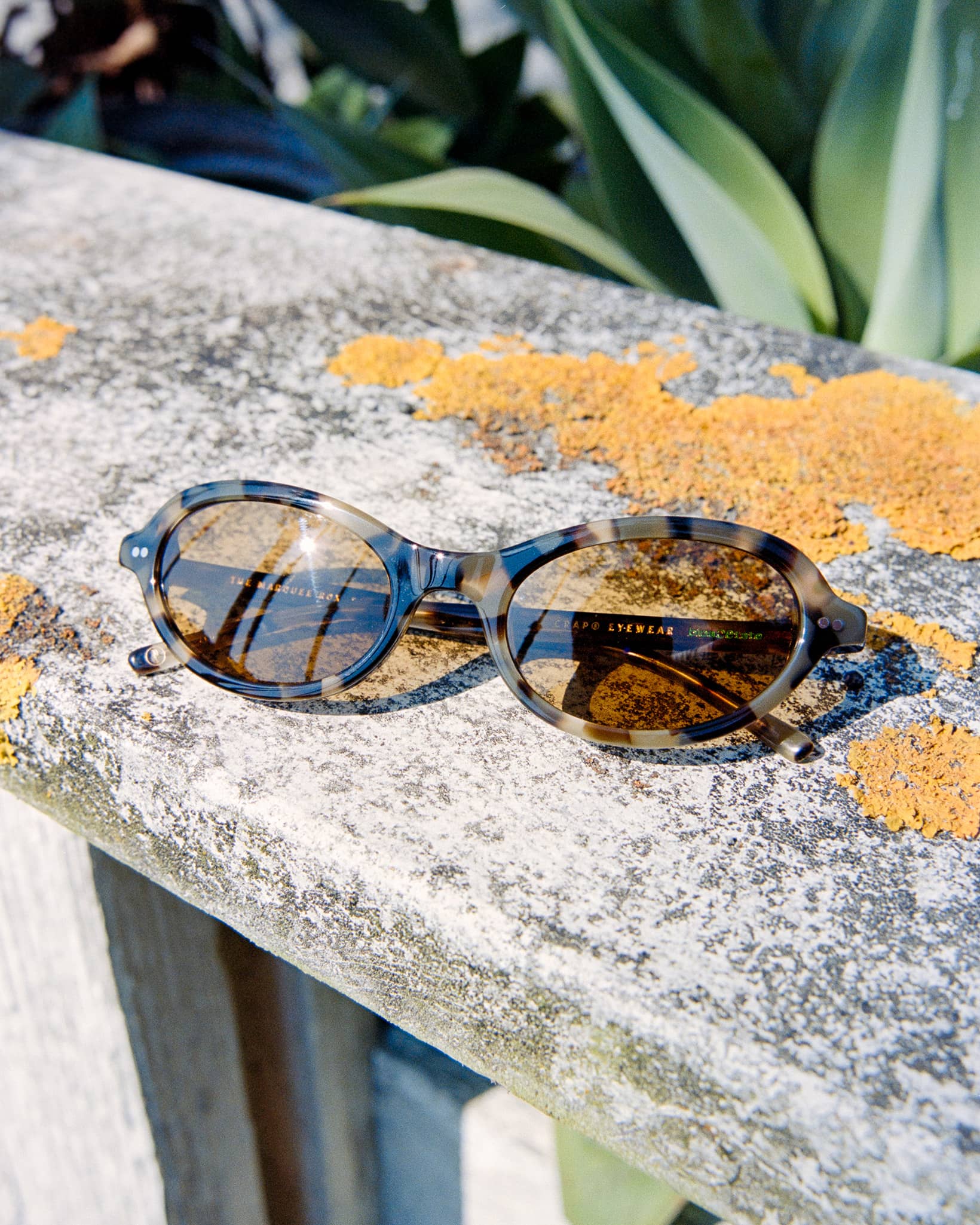 The Marquee Rox - Jaguar Tortoise Bio Polarized