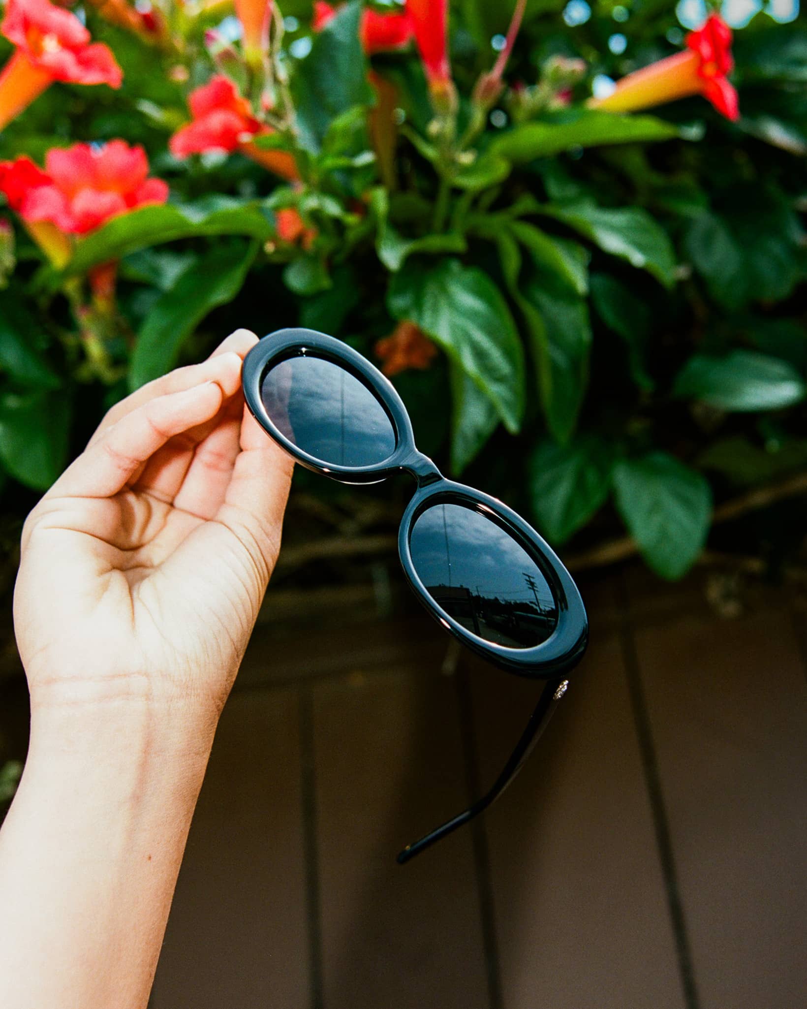 The Sweet Leaf - Polarized Black Bio