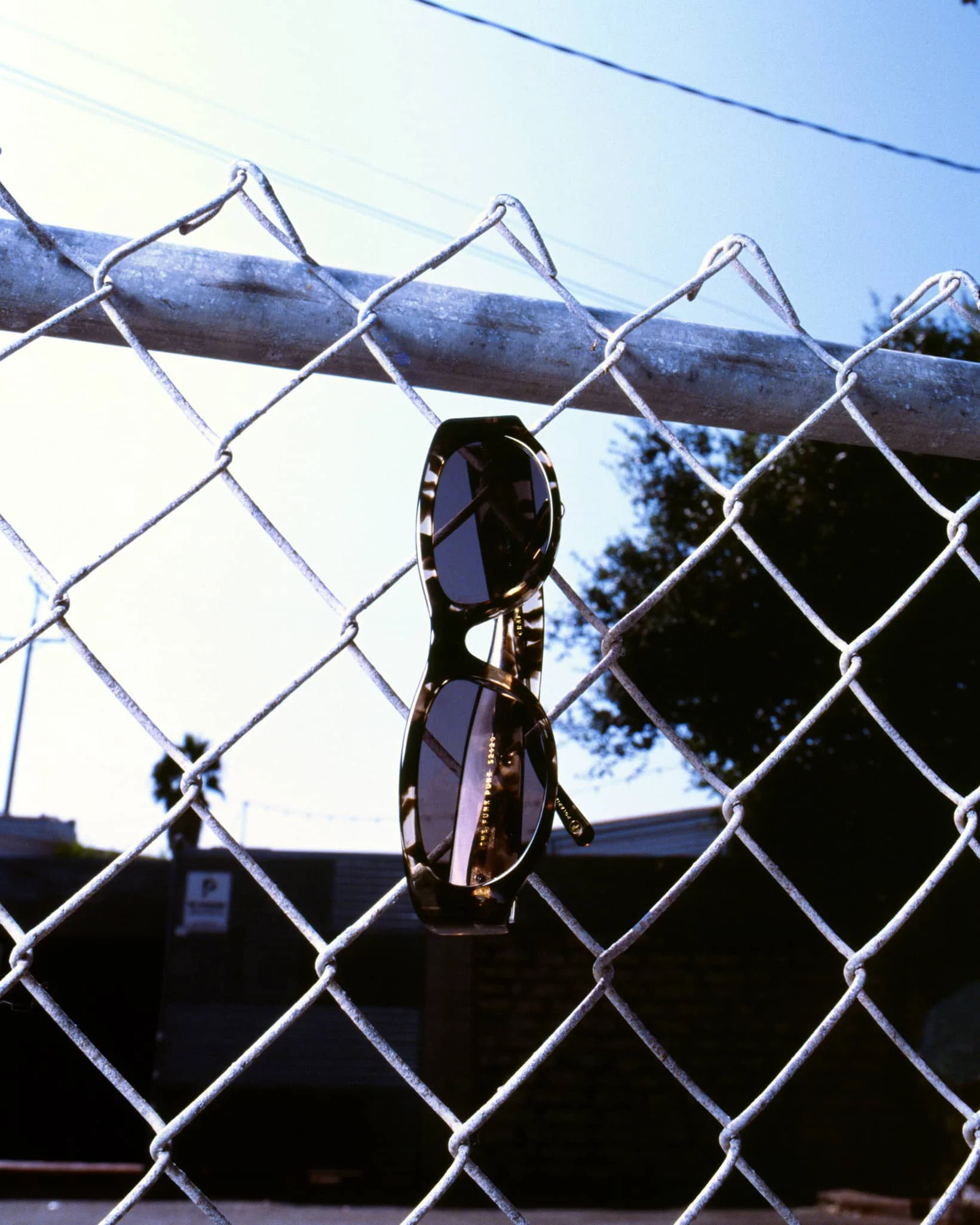 The Funk Punk - Desert Tortoise Bio Polarized