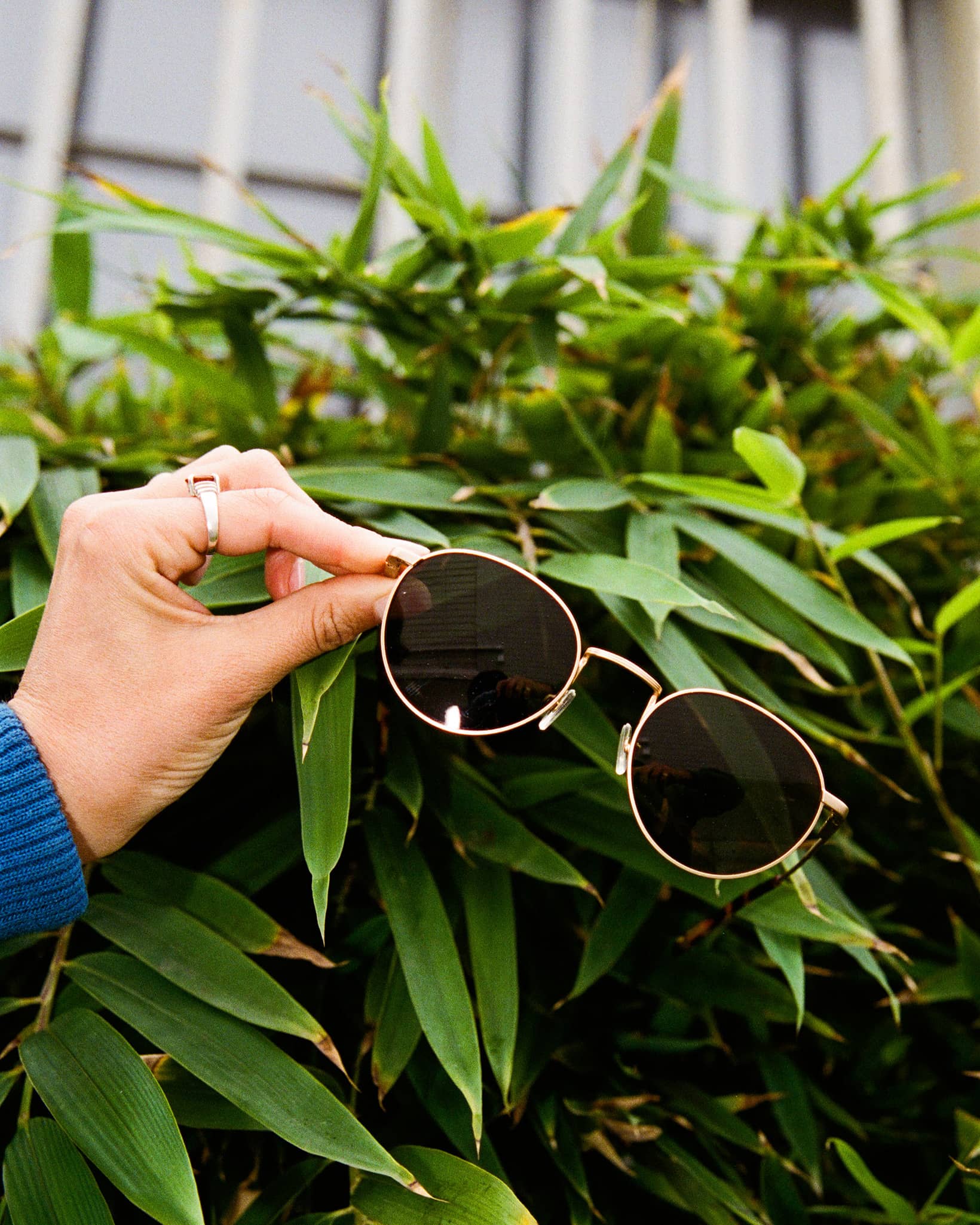 The Tuff Patrol - Gold Polarized