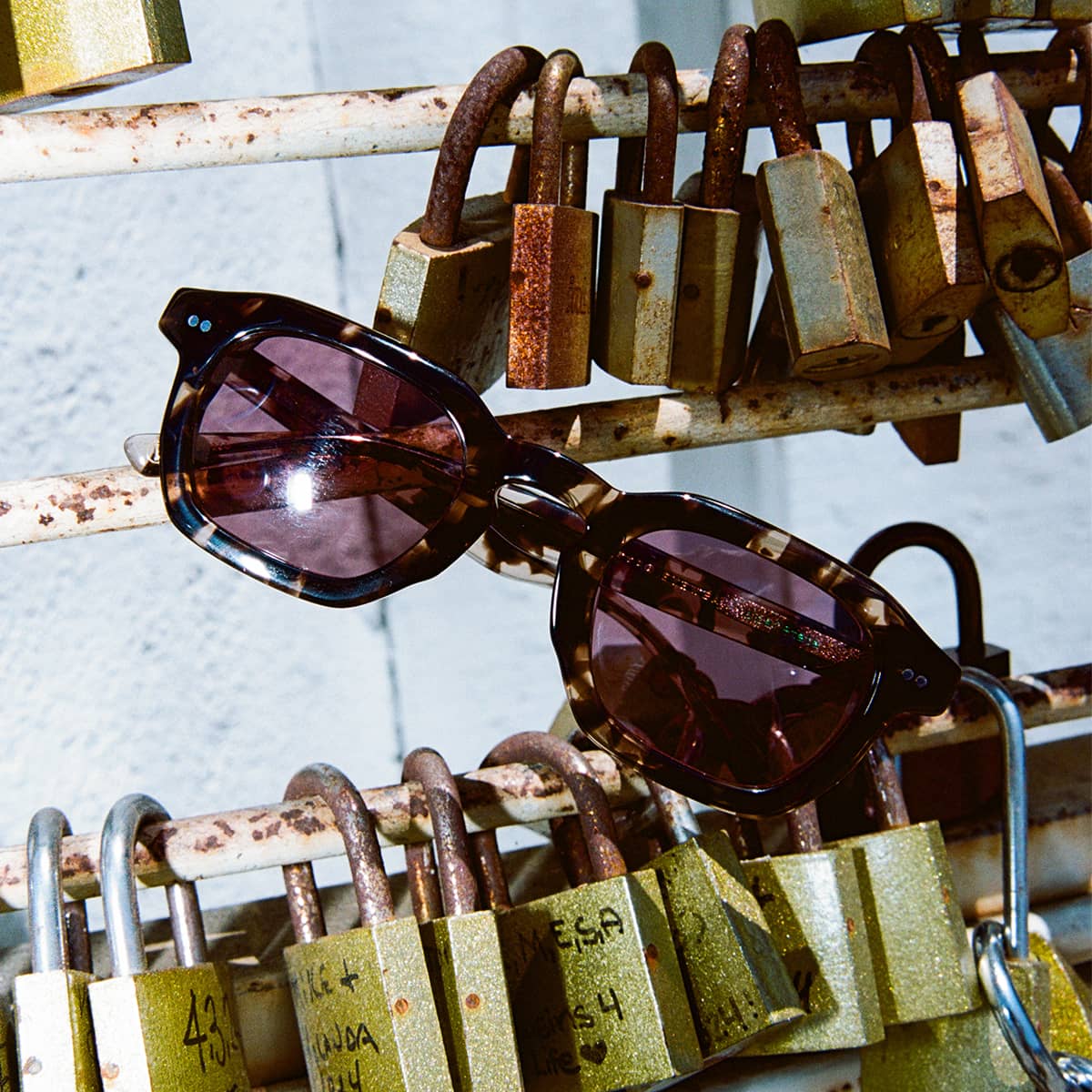 The No Wave - Desert Tortoise Bio Polarized