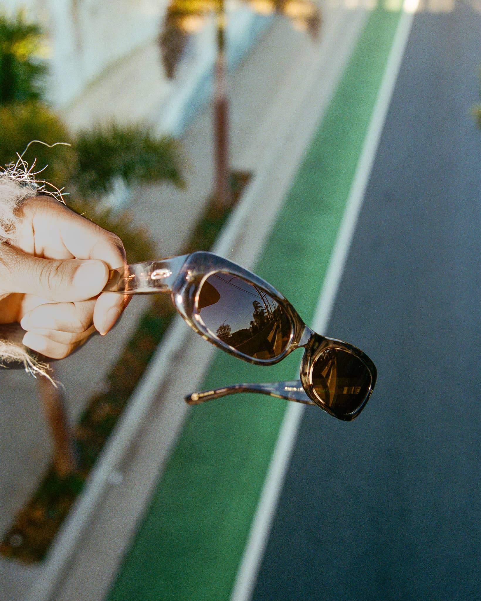 The Void Pixie - Desert Tortoise Bio Polarized