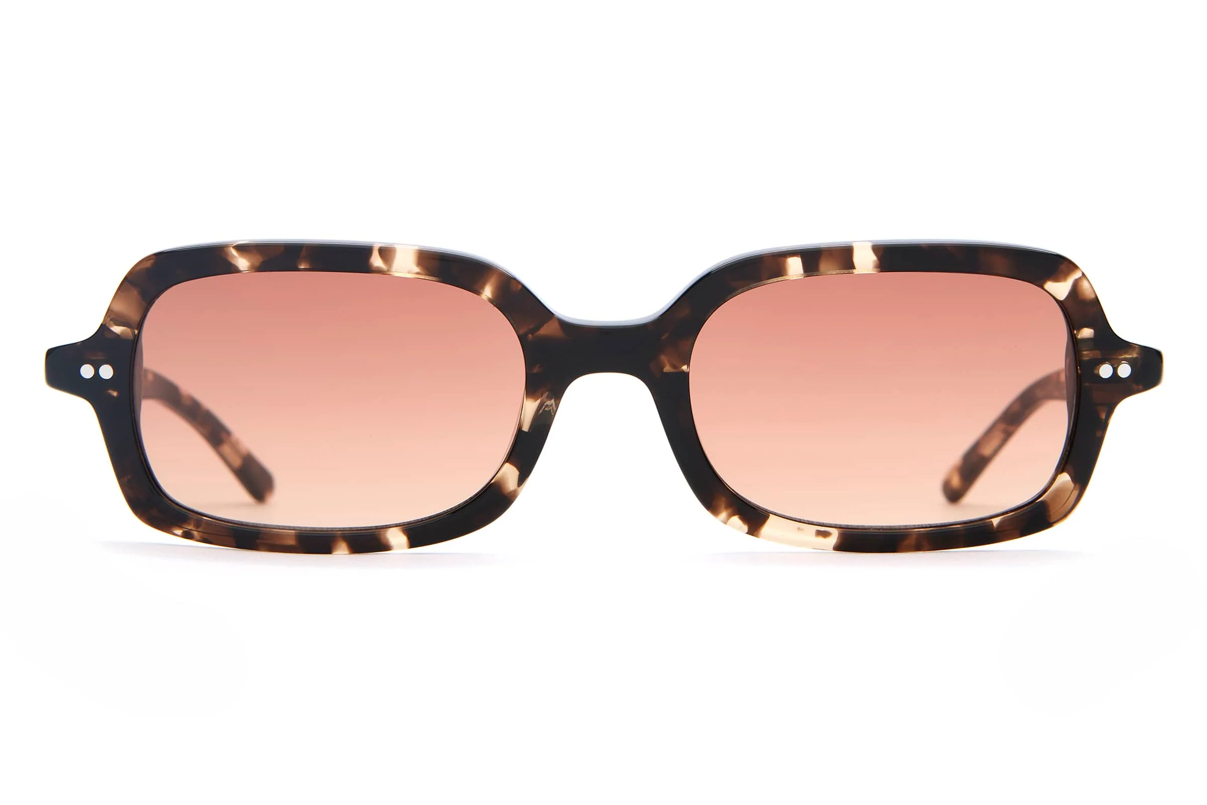 The Dream Cassette - Desert Tortoise Bio