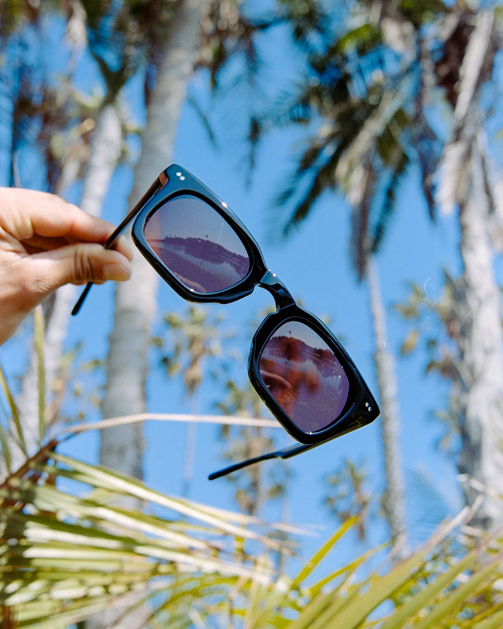 The Radio Haze - Black Bio