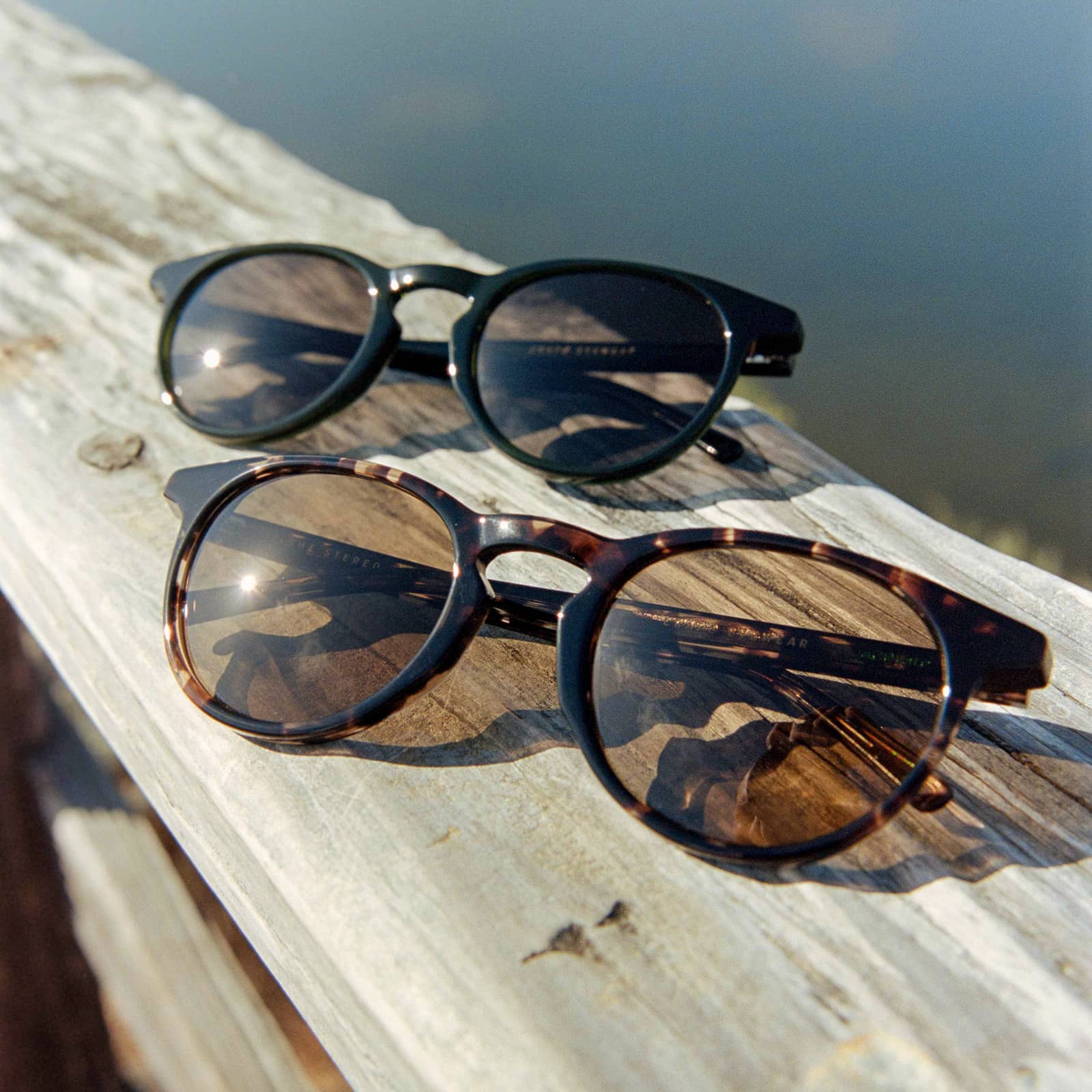 The Stereo Cult - Desert Tortoise Bio