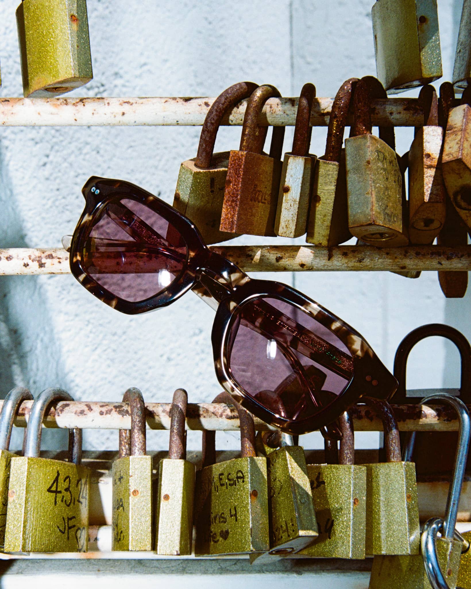 The No Wave - Desert Tortoise Bio Polarized