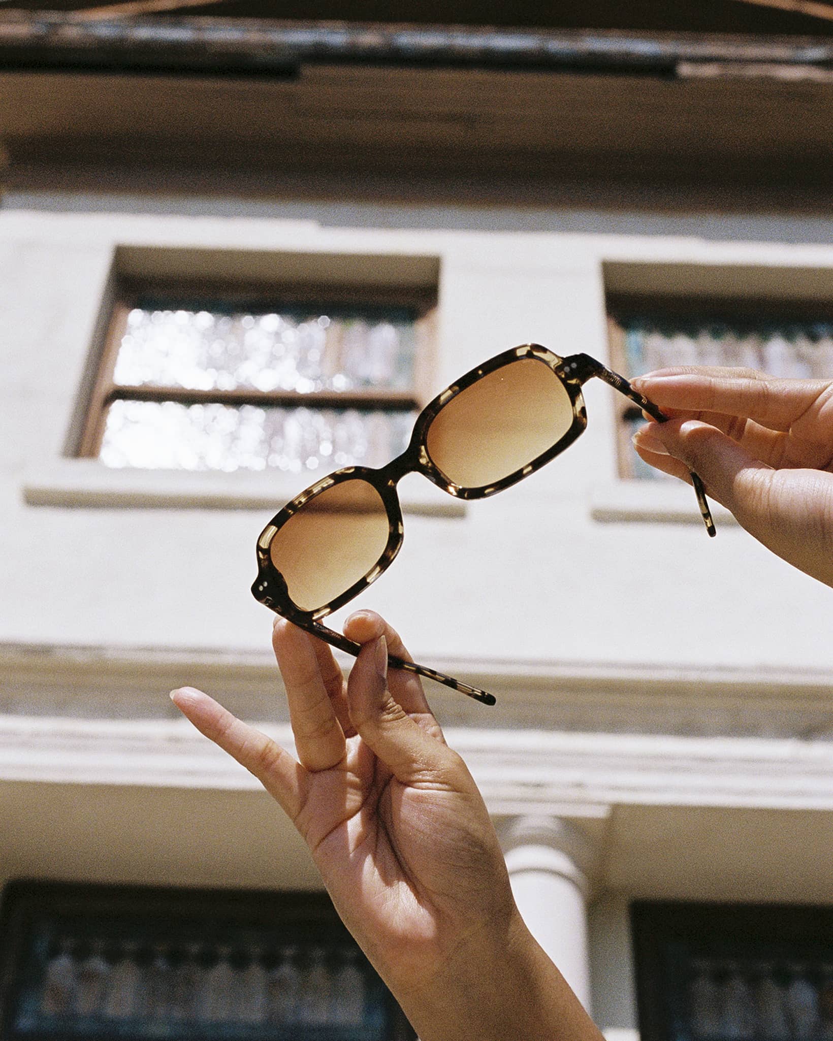 The Dream Cassette - Desert Tortoise Bio