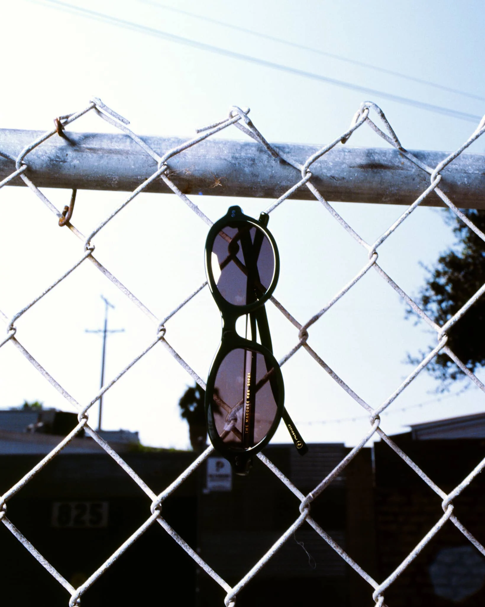 The Marquee Rox - Midnight Forest Bio Polarized