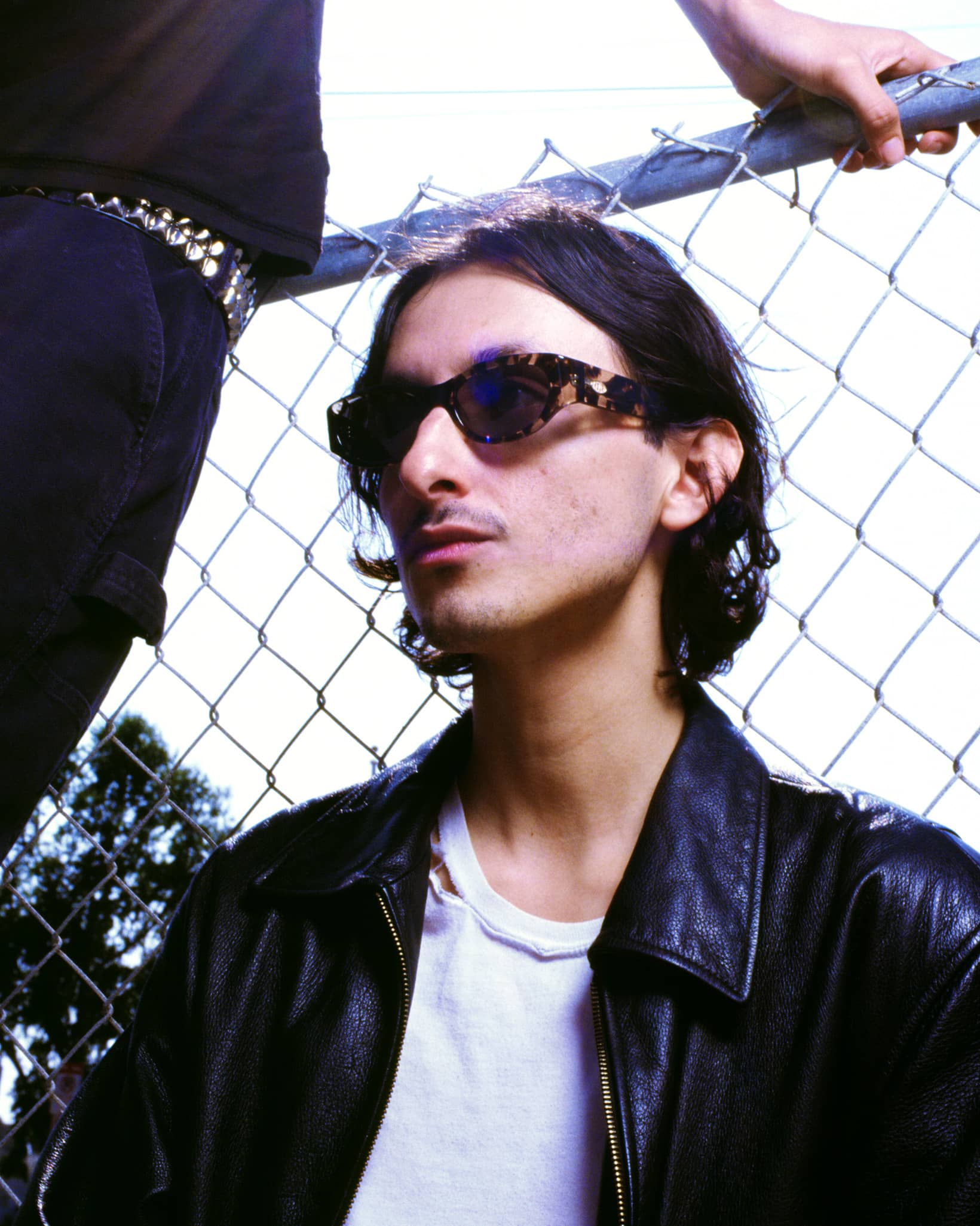 The Funk Punk - Desert Tortoise Bio Polarized