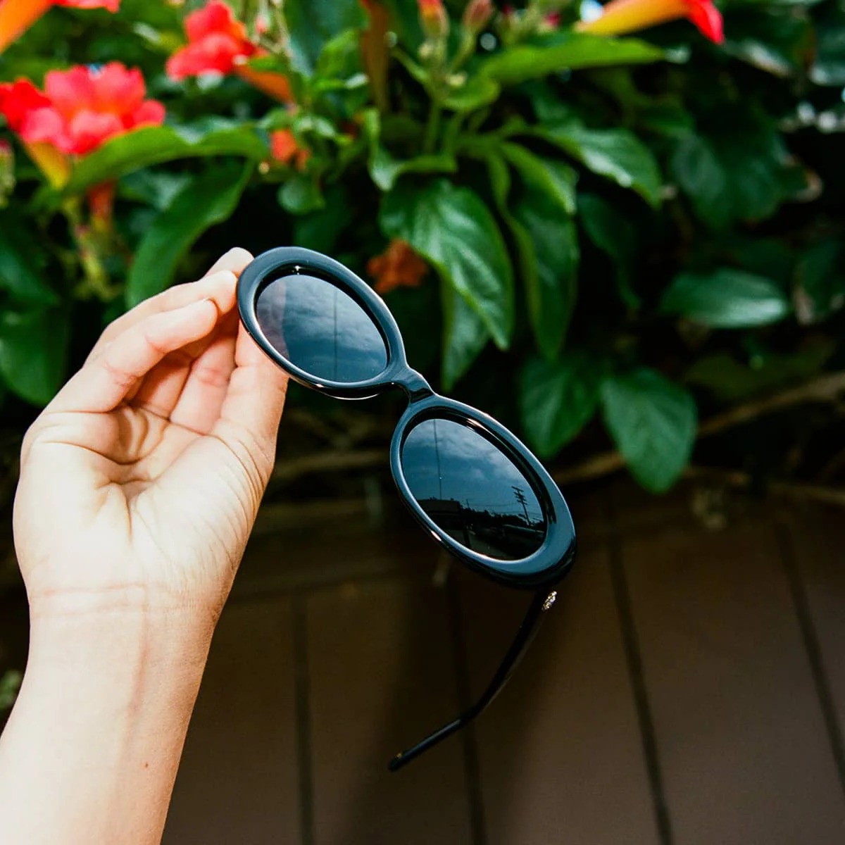 The Sweet Leaf - Polarized Black Bio