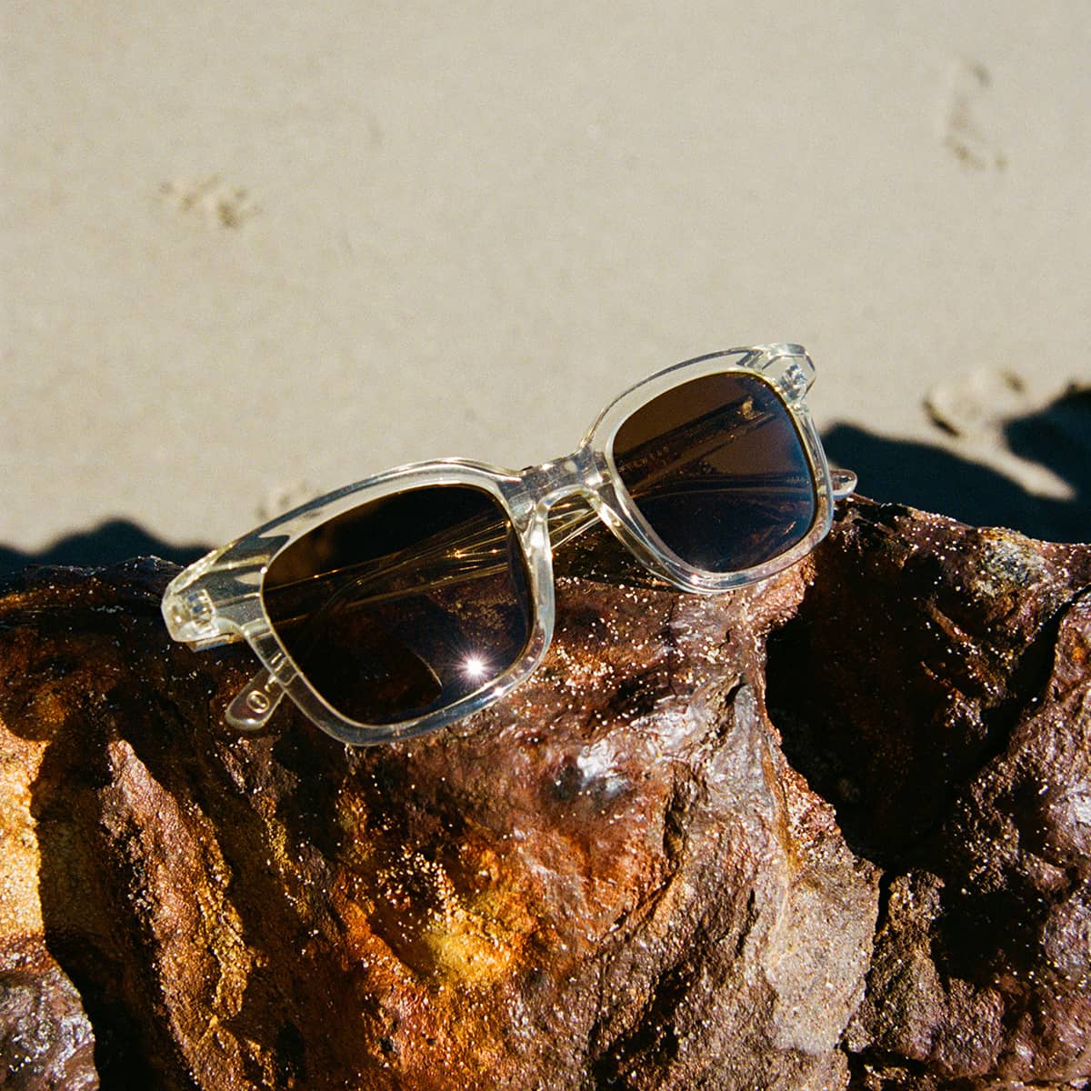 The Dropout Boogie - Crystal Champagne Bio Polarized