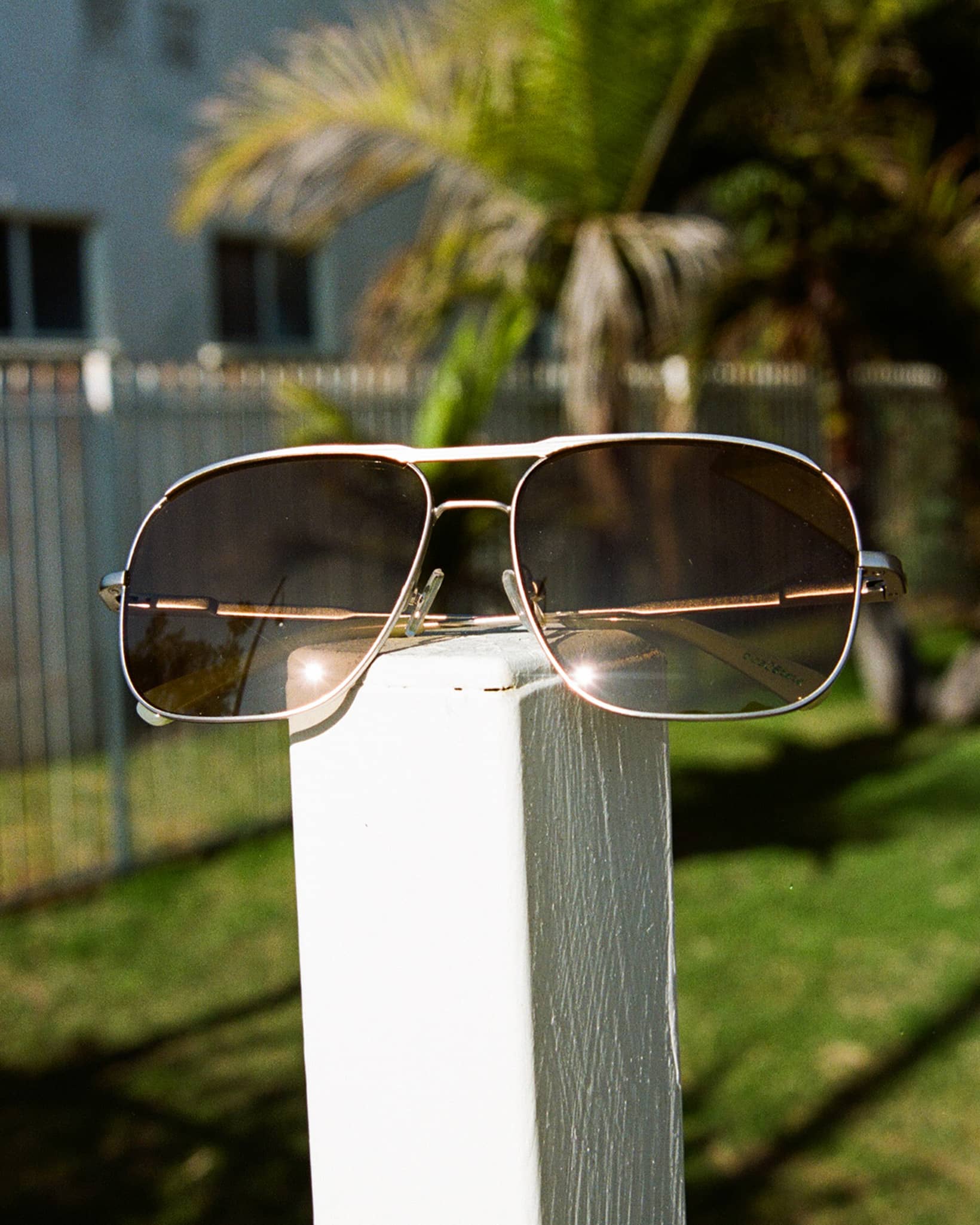 The Glass Bubble - Shroom