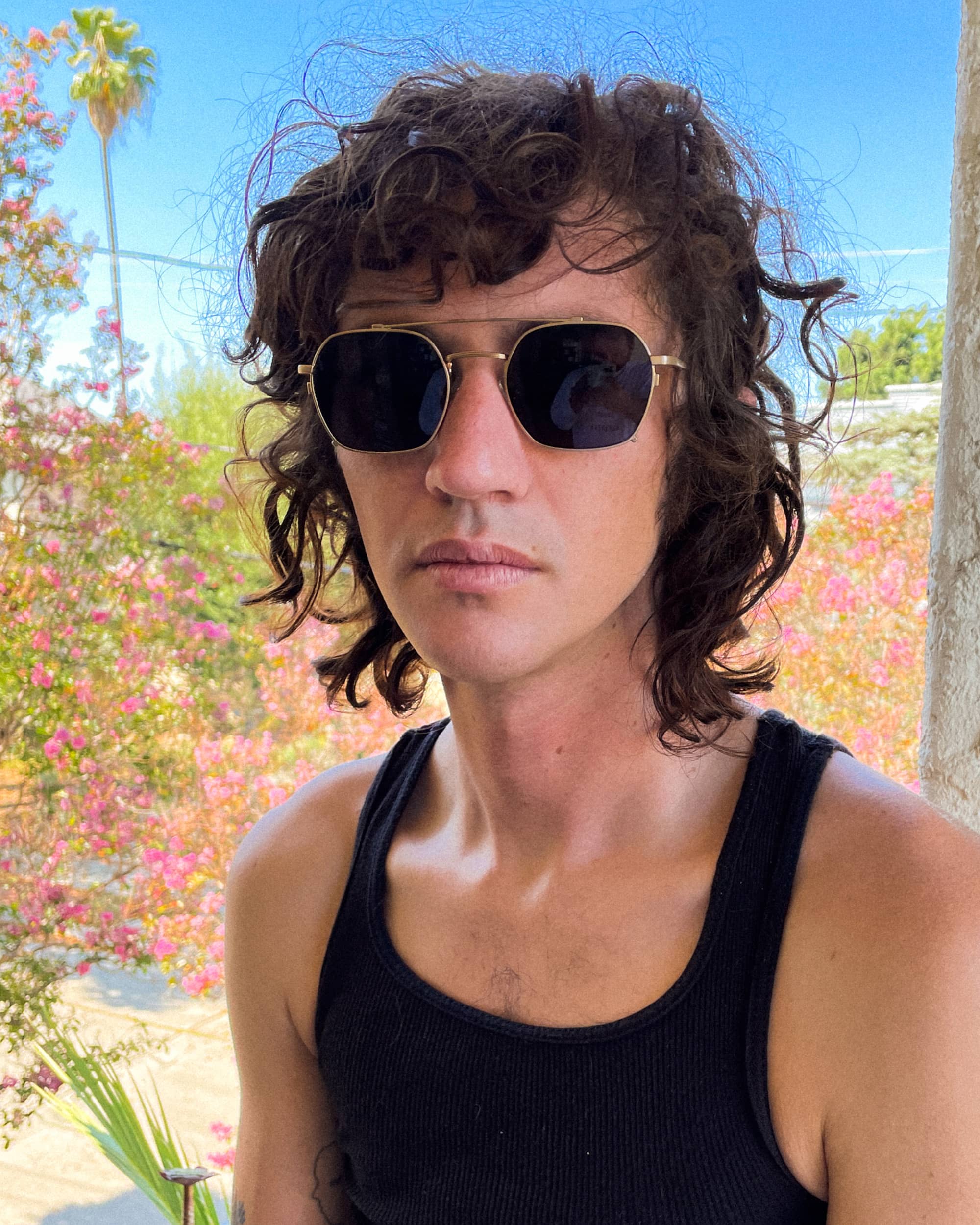 The Jazz Safari - Gold Polarized