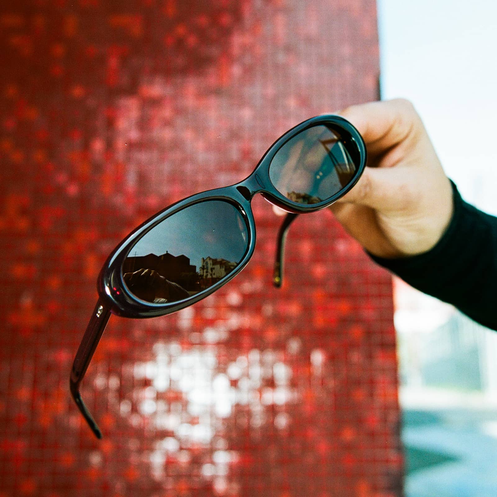 The Luv Buzz - Midnight Plum Bio Polarized