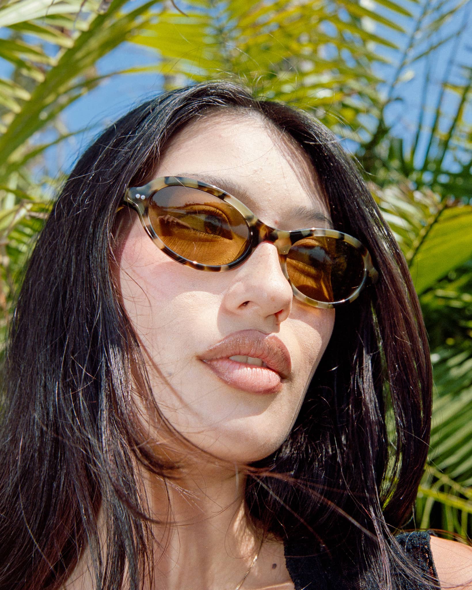 The Marquee Rox - Jaguar Tortoise Bio Polarized