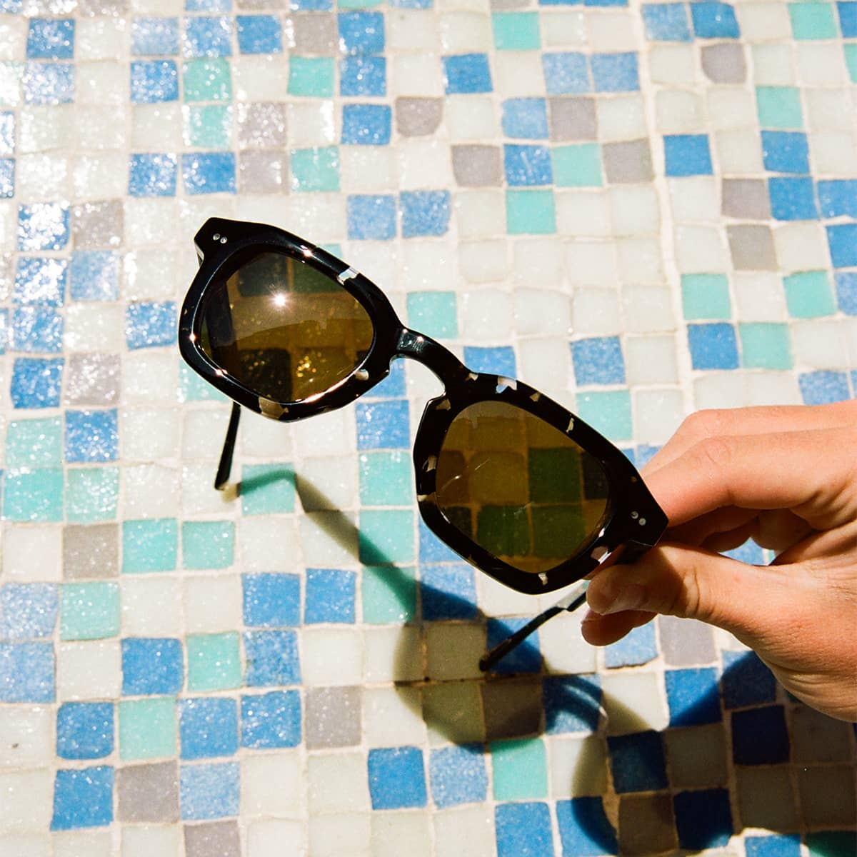 The No Wave - Black Tortoise Bio Polarized