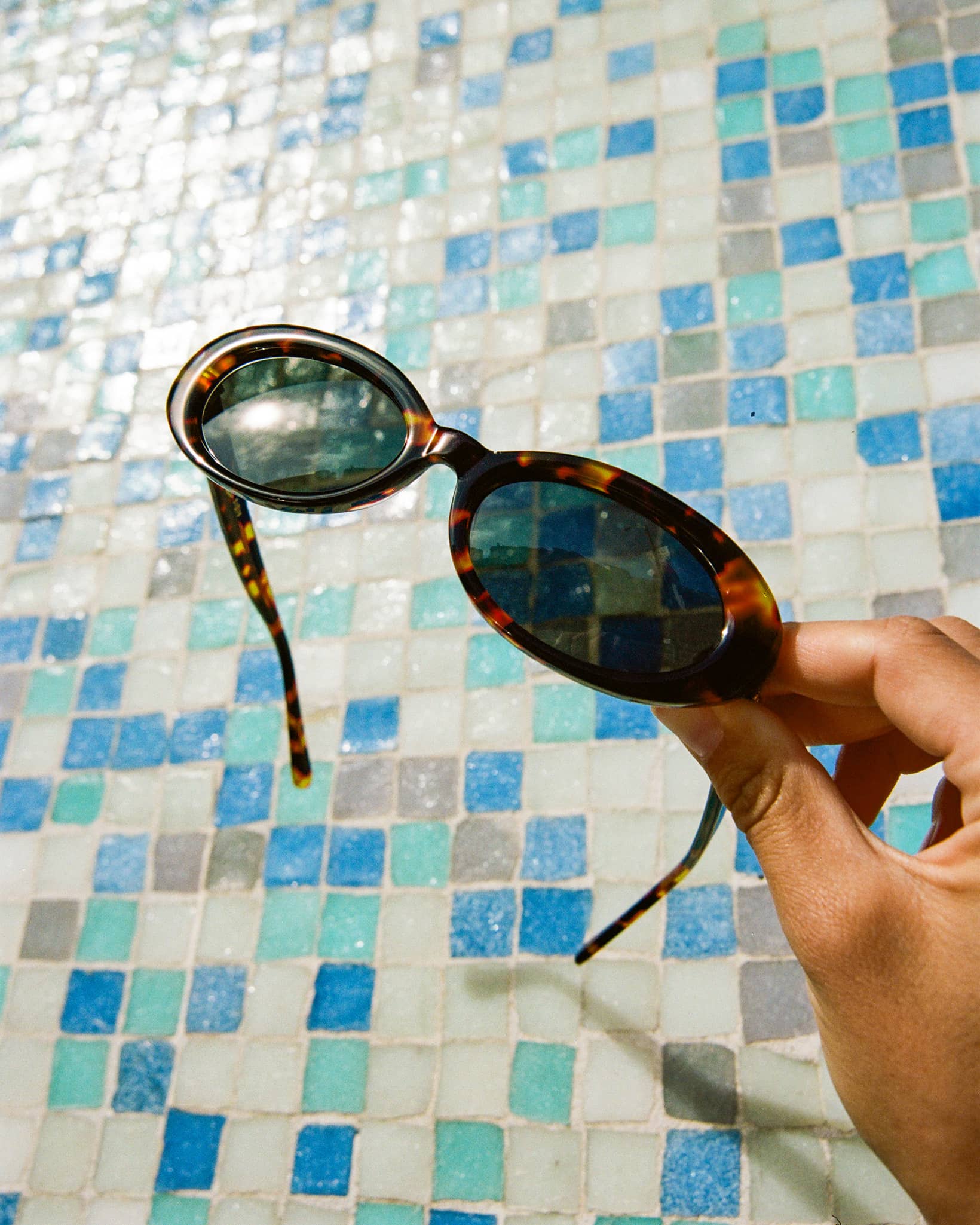 The Sweet Leaf - Tortoise Bio