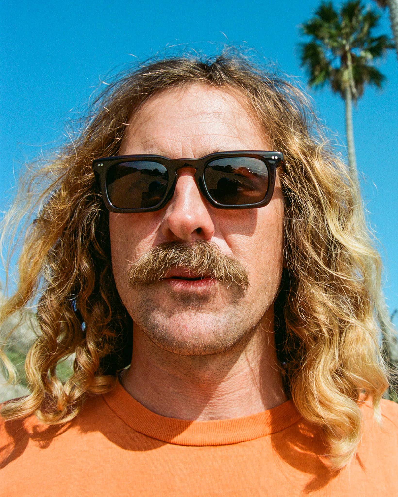 The Radio Haze - Crystal Cola Bio Polarized