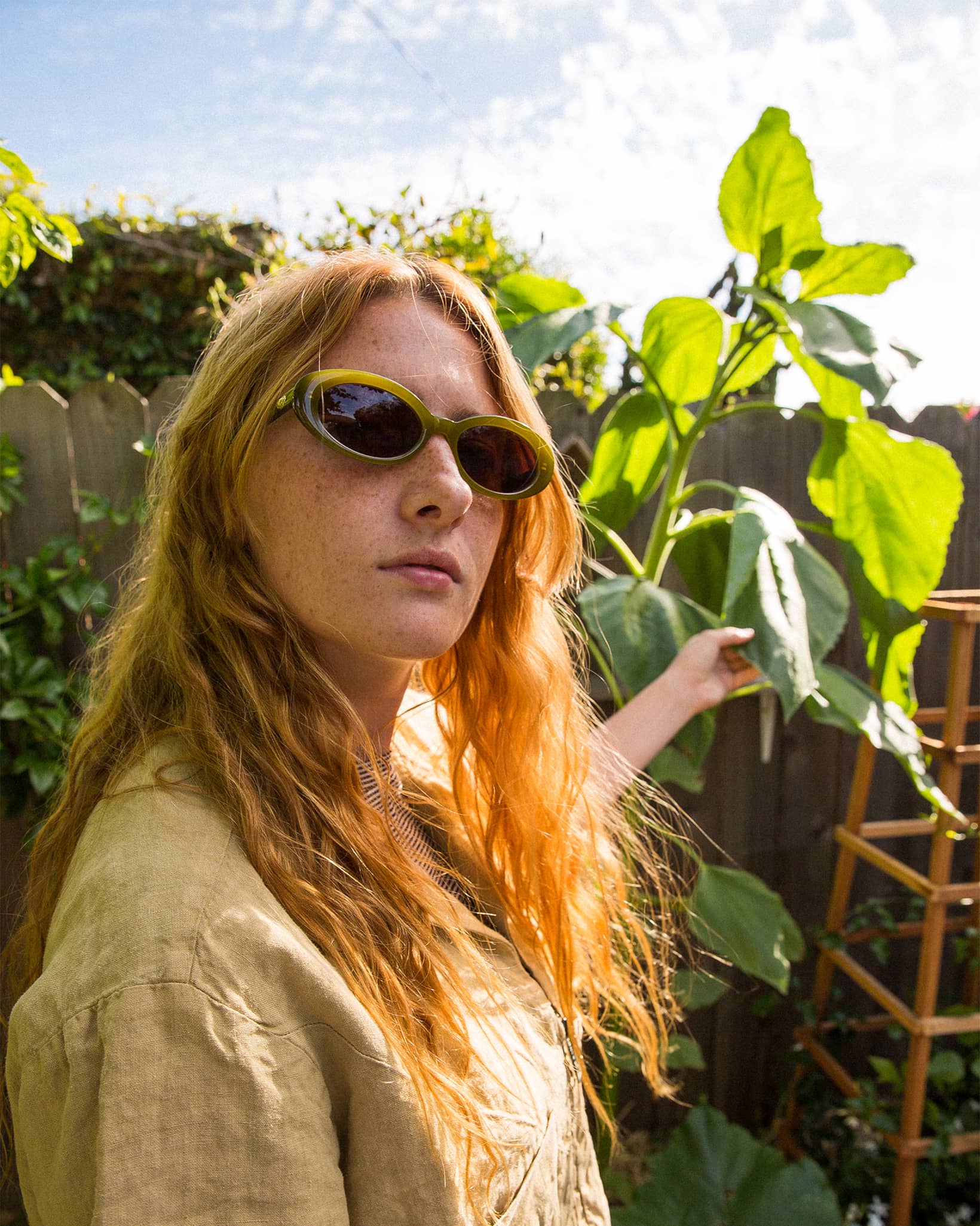 The Sweet Leaf - Olive Bio