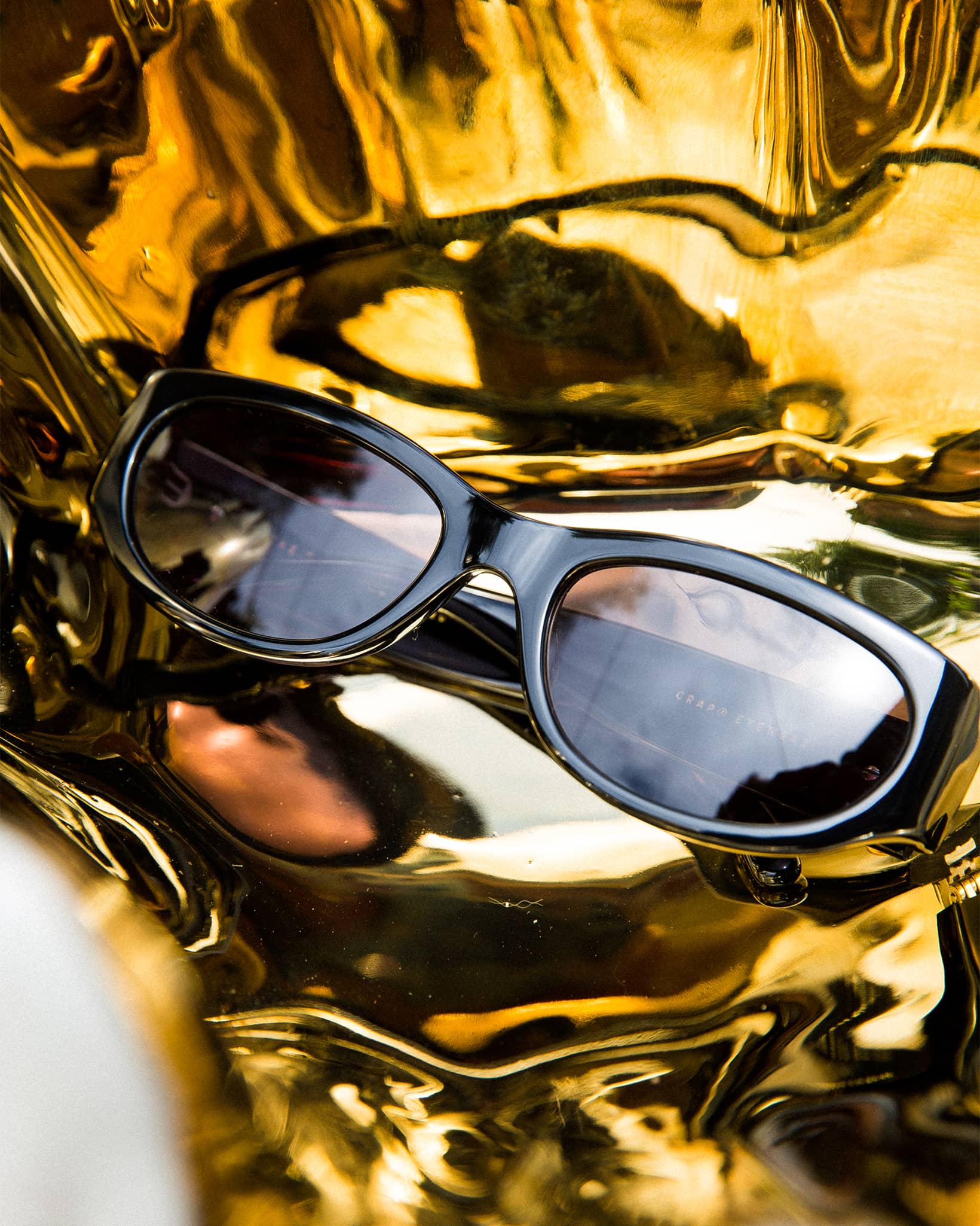 The Funk Punk - Black Bio