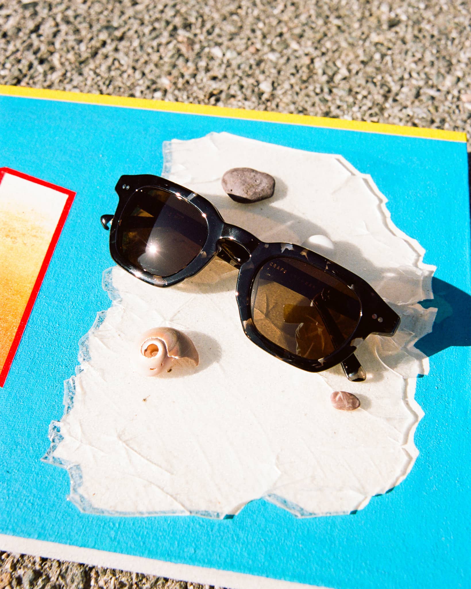 The No Wave - Black Tortoise Bio Polarized