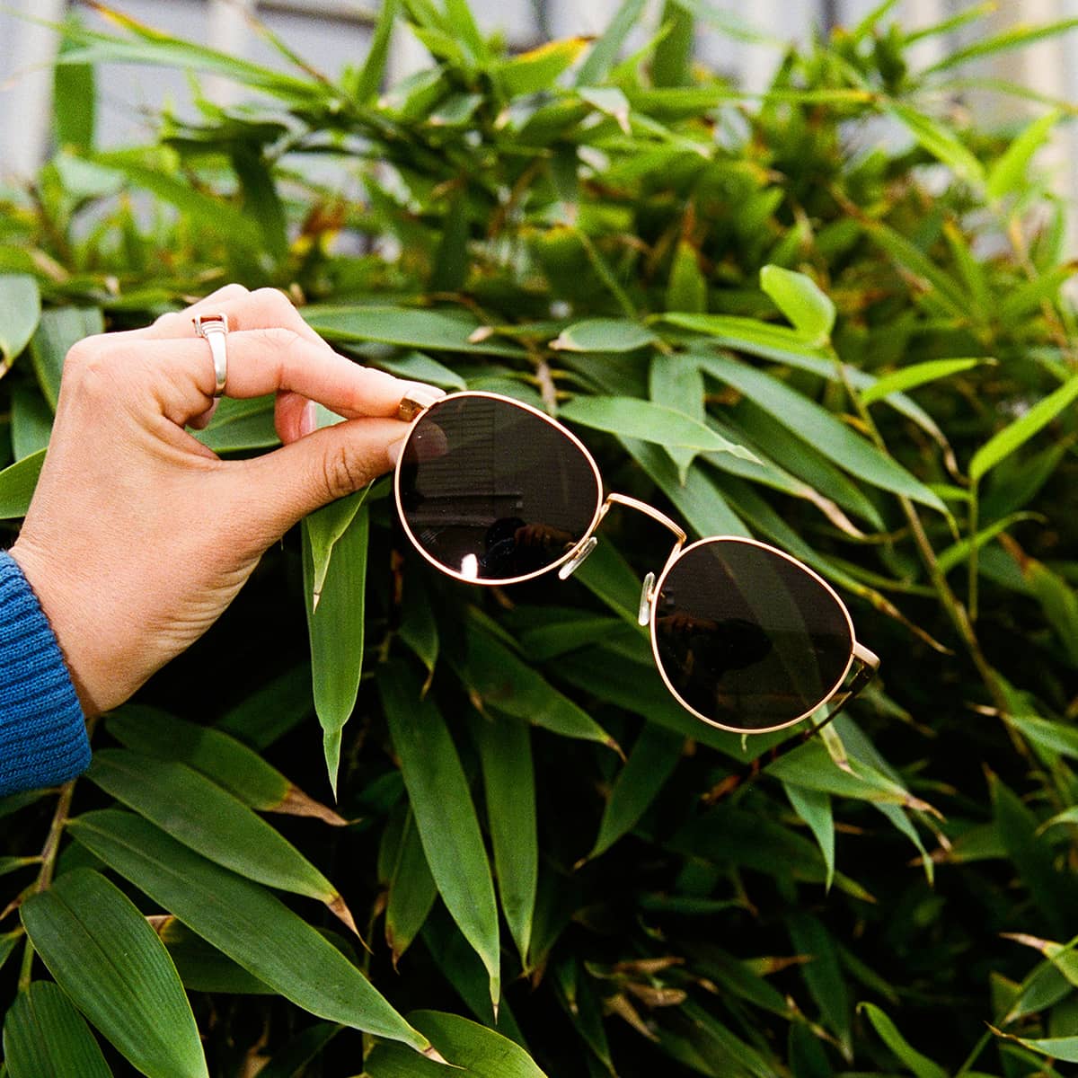 The Tuff Patrol - Gold Polarized