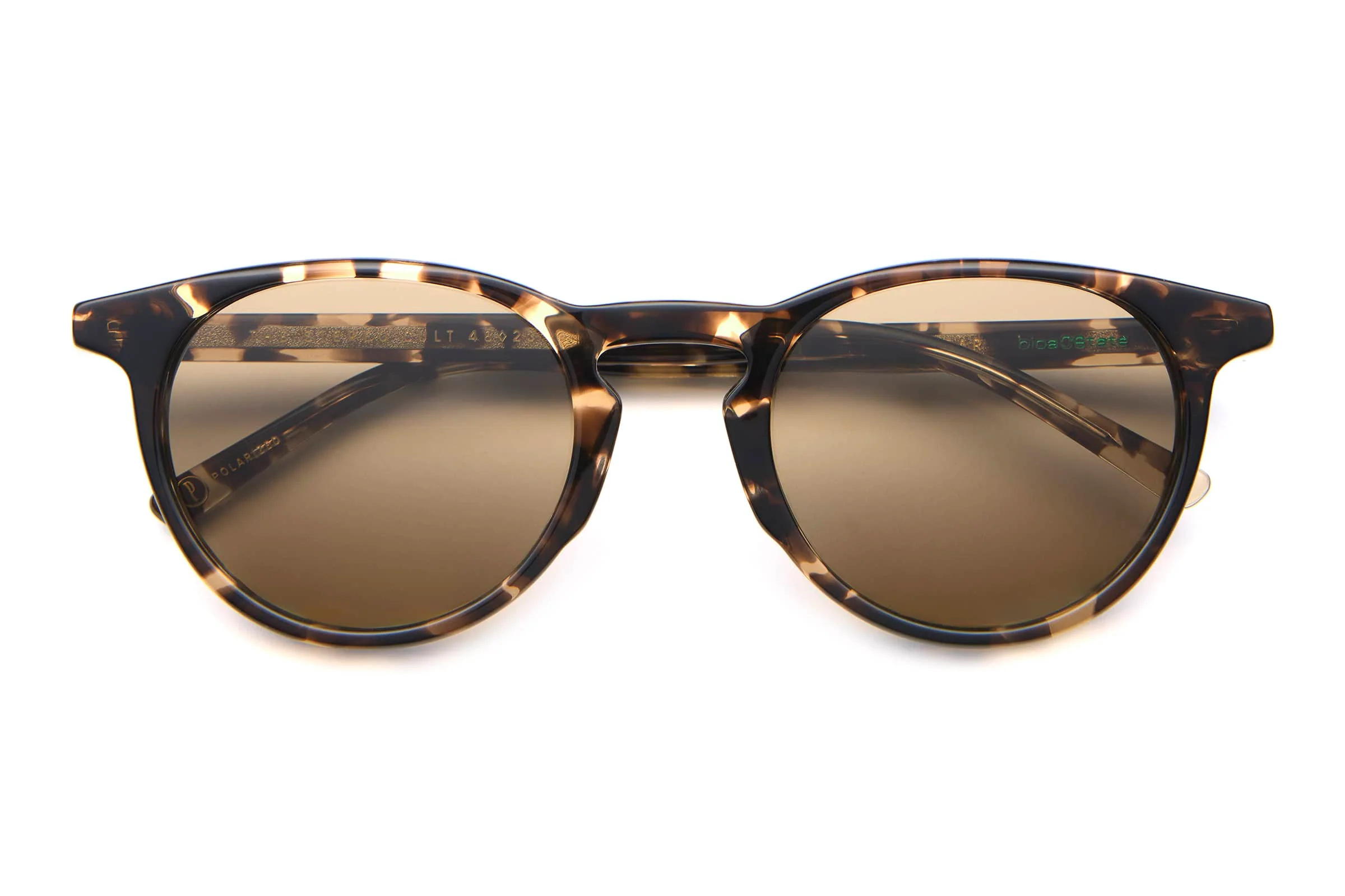 The Stereo Cult - Desert Tortoise Bio