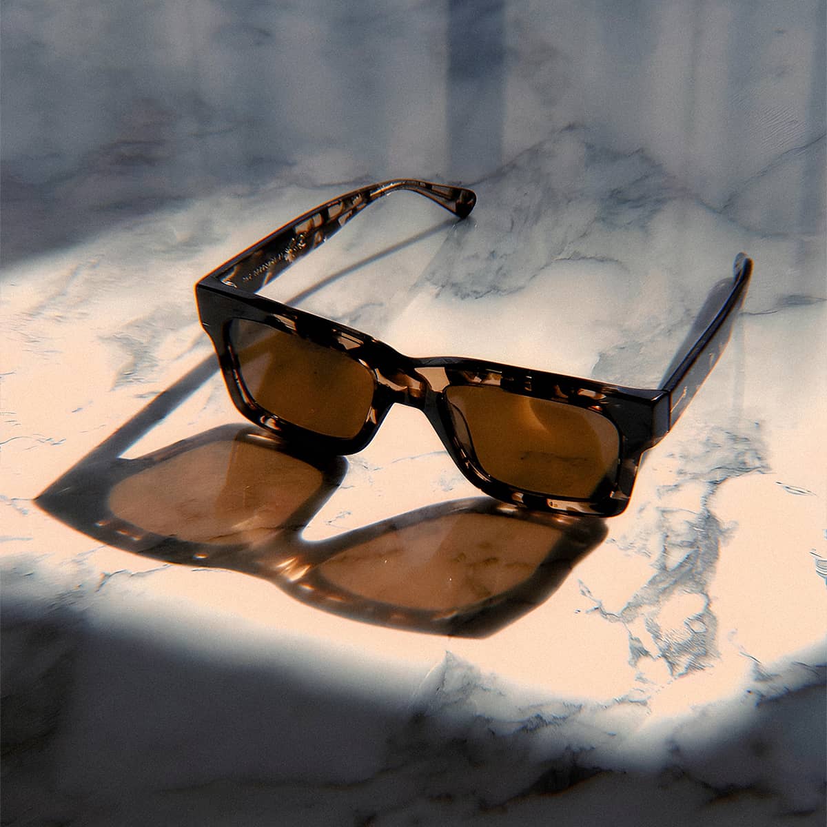 The Speedway - Desert Tortoise Bio Polarized