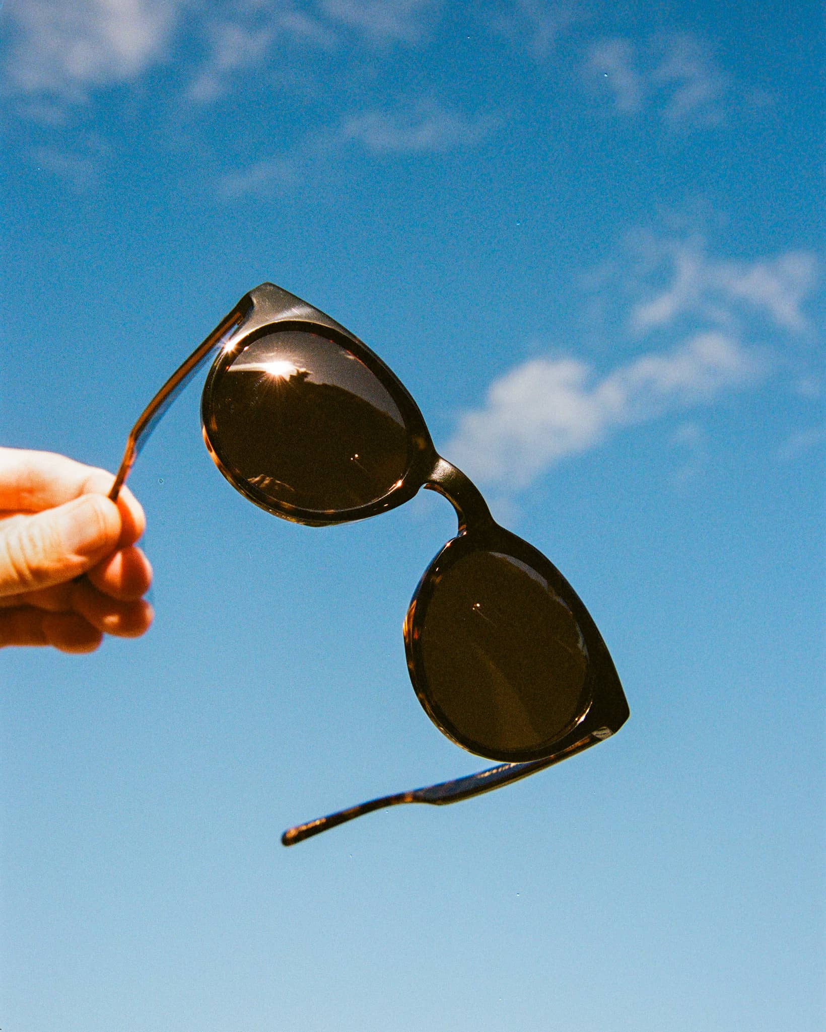 The Shake Appeal - Dark Tortoise Bio Polarized