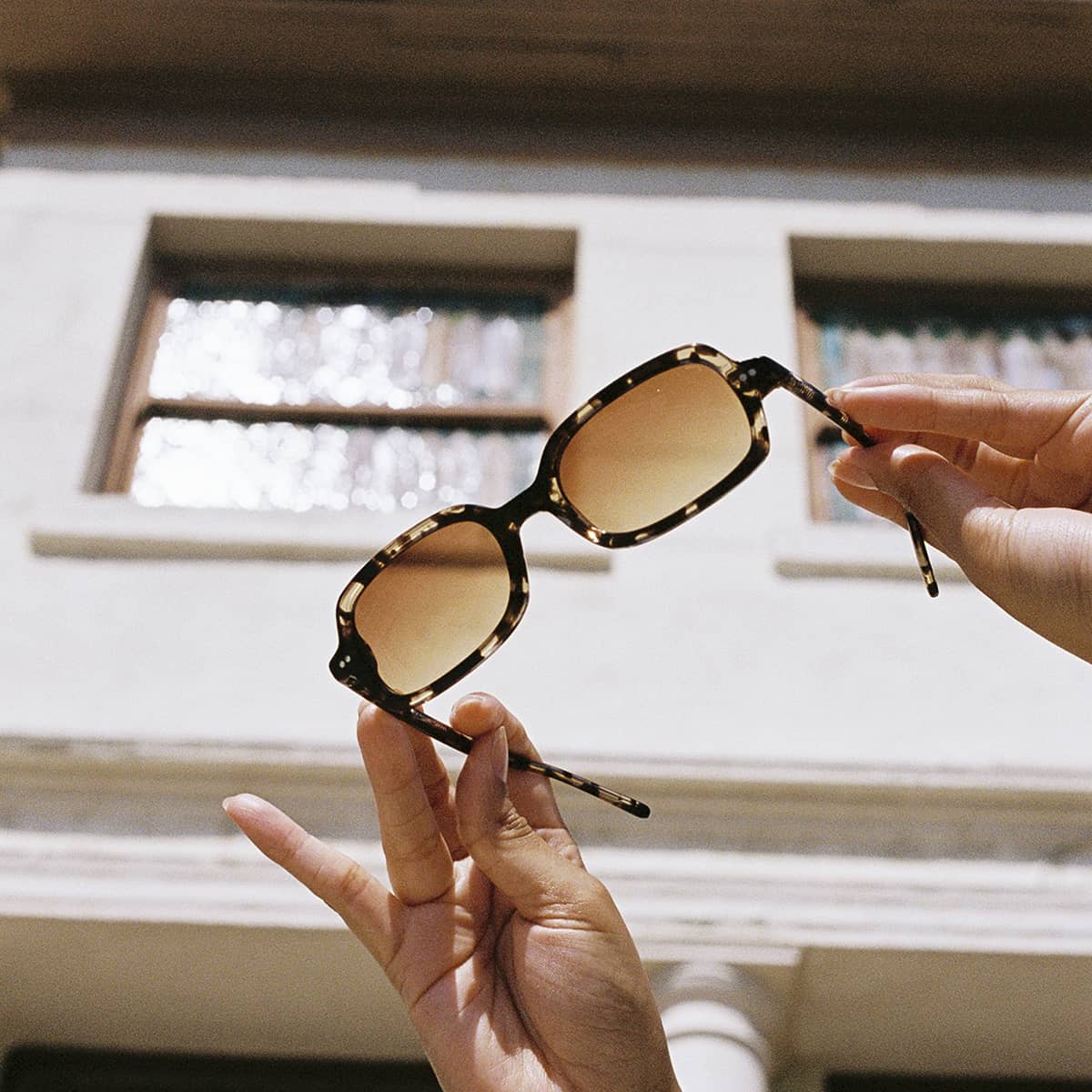 The Dream Cassette - Desert Tortoise Bio