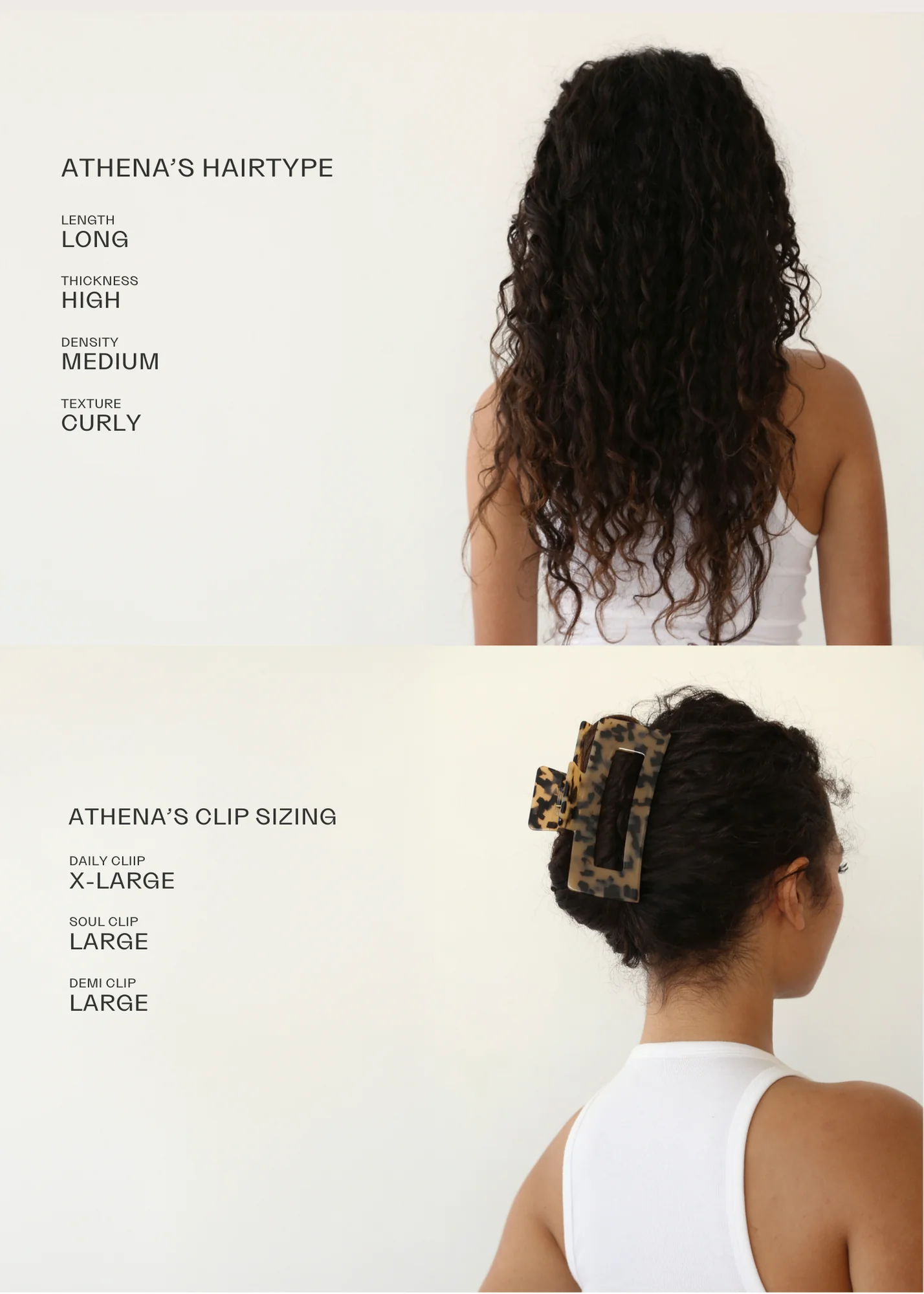 Daily Clip in Blonde Tortoise